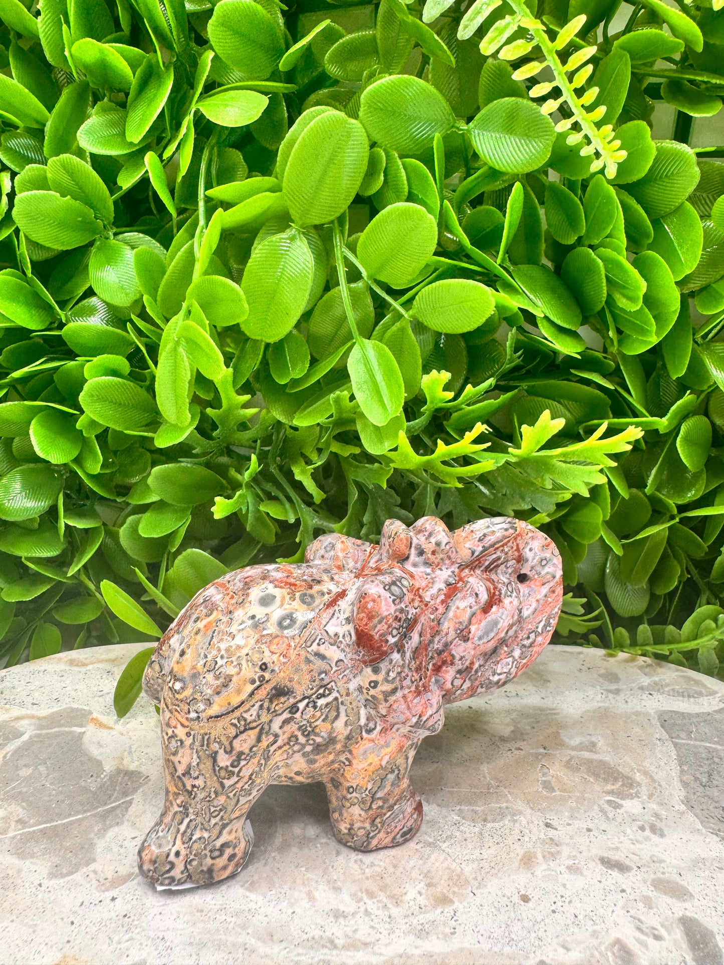 Red Leopard Skin Jasper Elephant 326g