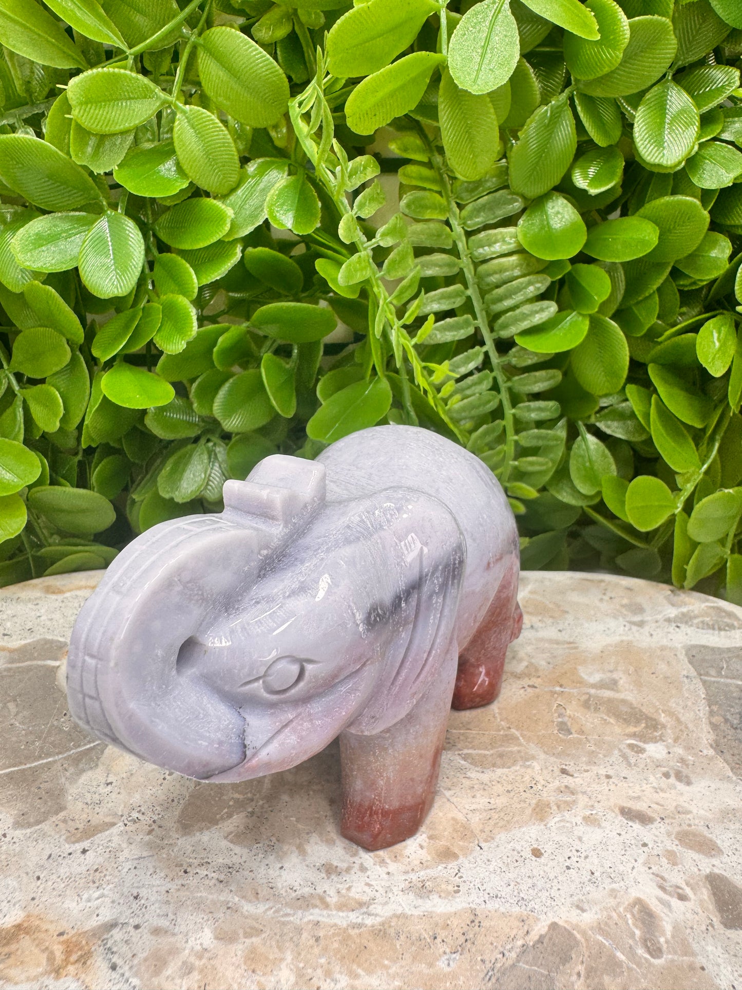 Ocean Jasper Elephant 442g