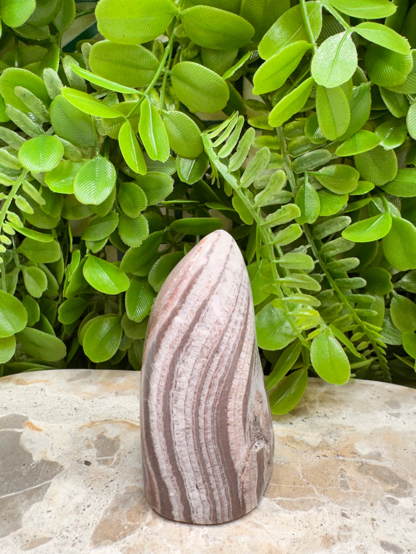 Chocolate Aragonite Freeform 192g