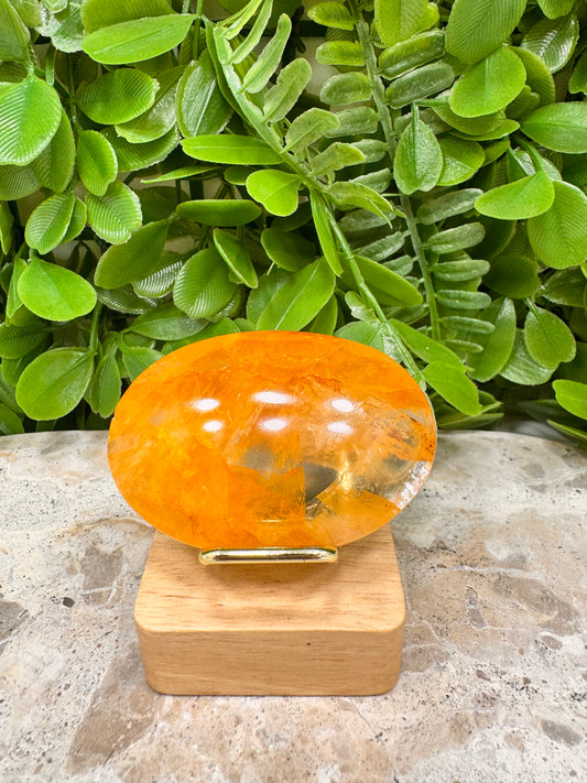 Golden Healer Palm Stone 70g
