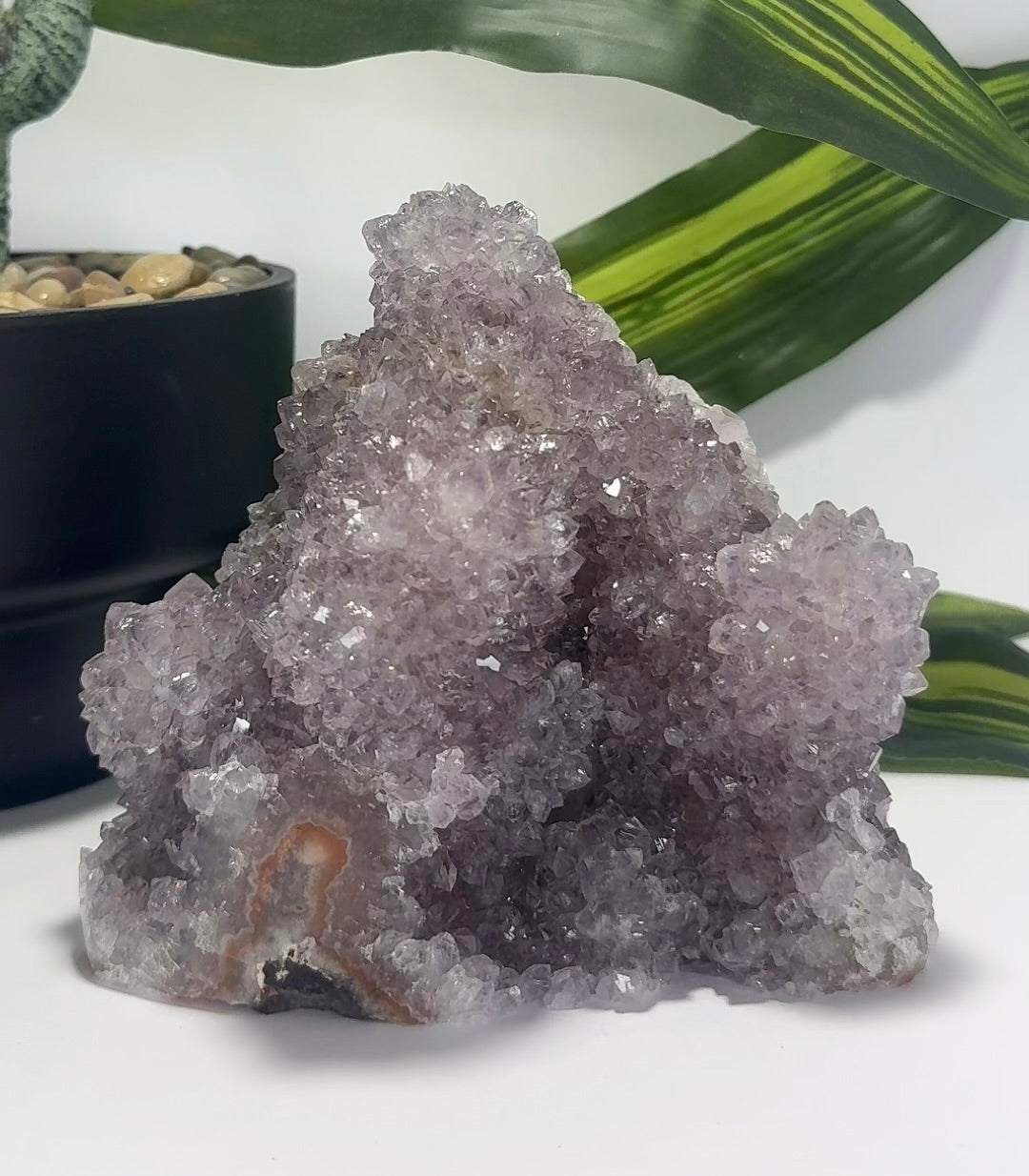 Amethyst Cluster Freeform 1.1kg