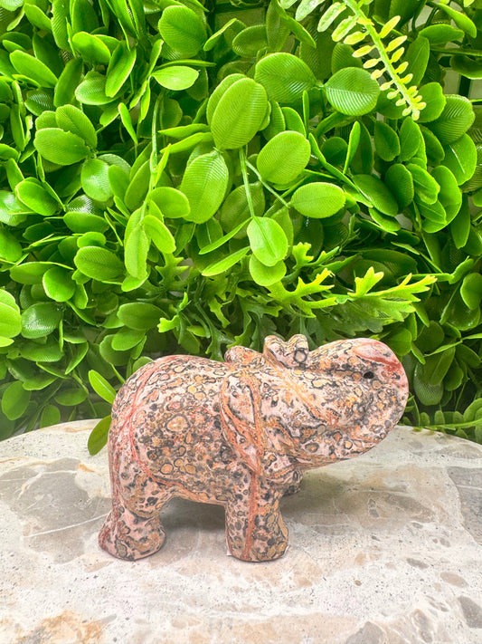 Red Leopard Skin Jasper Elephant 333g