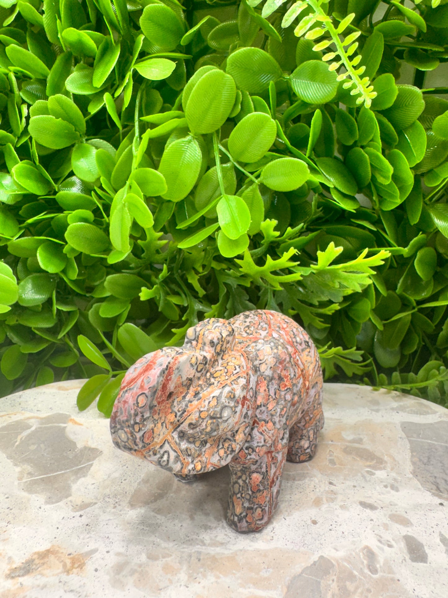Red Leopard Skin Jasper Elephant 333g