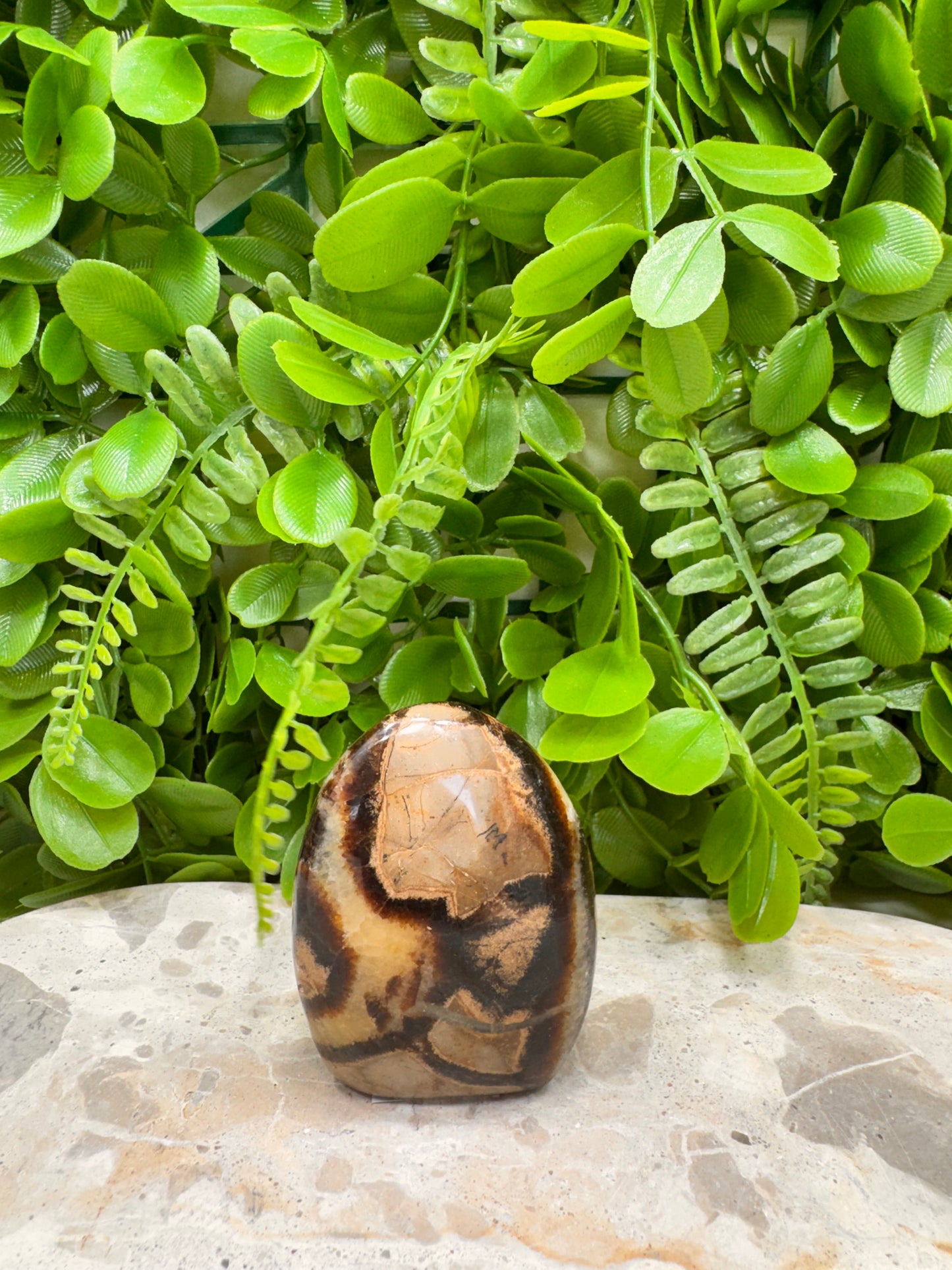 Septarian Freeform 146g