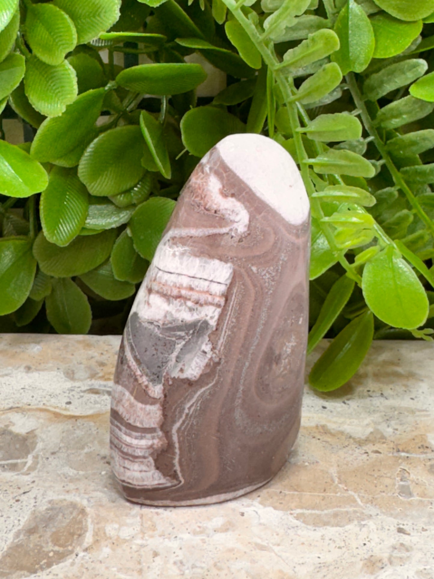 Chocolate Aragonite Freeform 102g