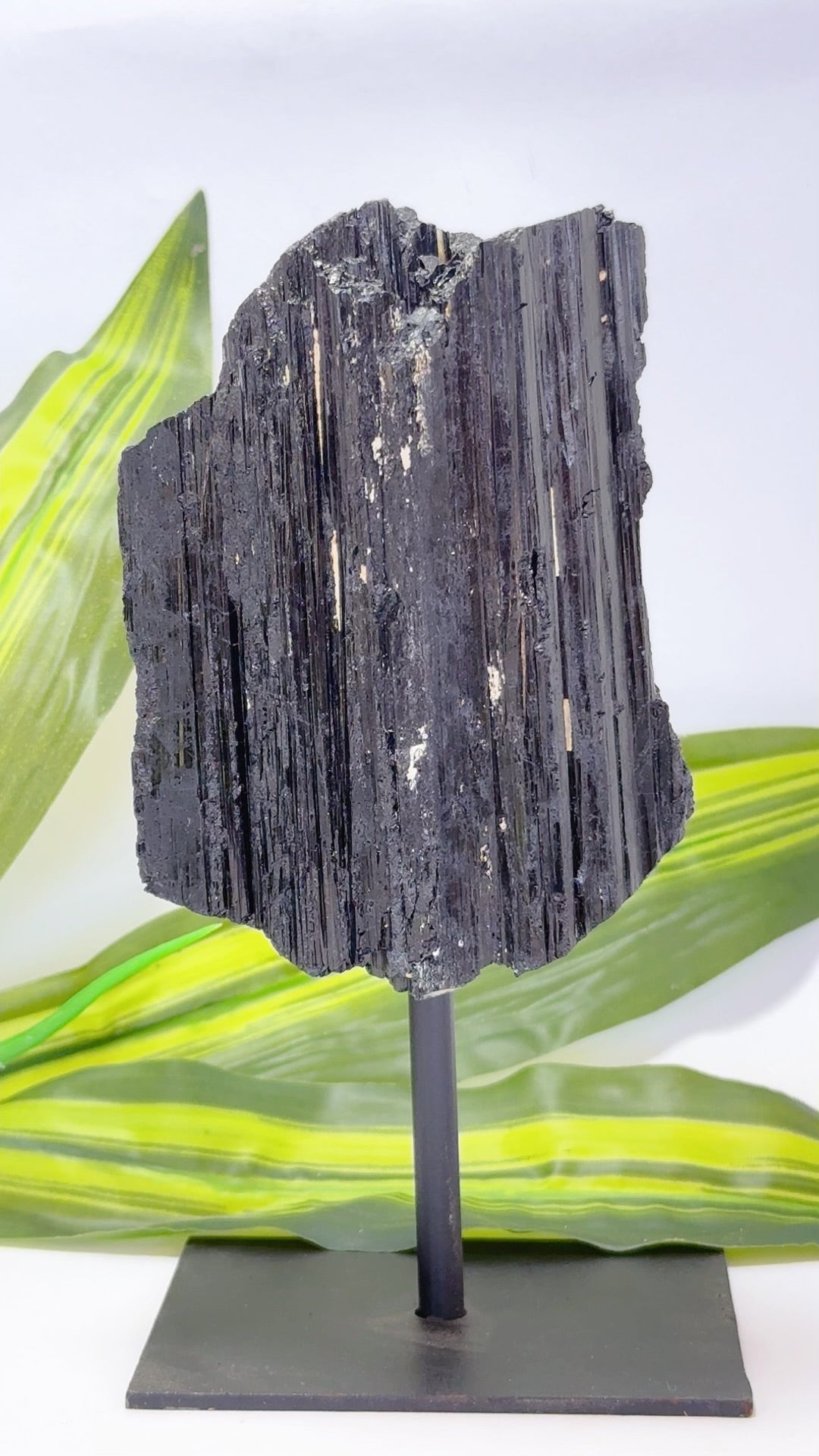 Tourmaline on Stand 1114g