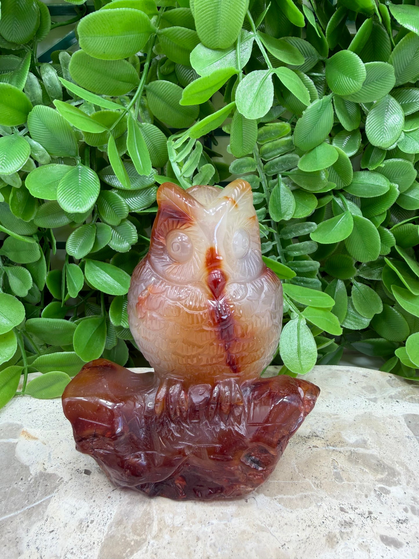 Carnelian Owl 480g