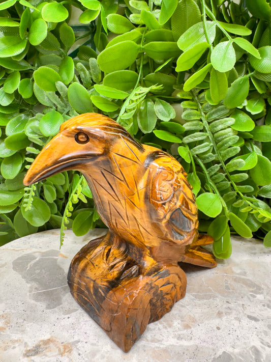 Tigers Eye Raven 746g