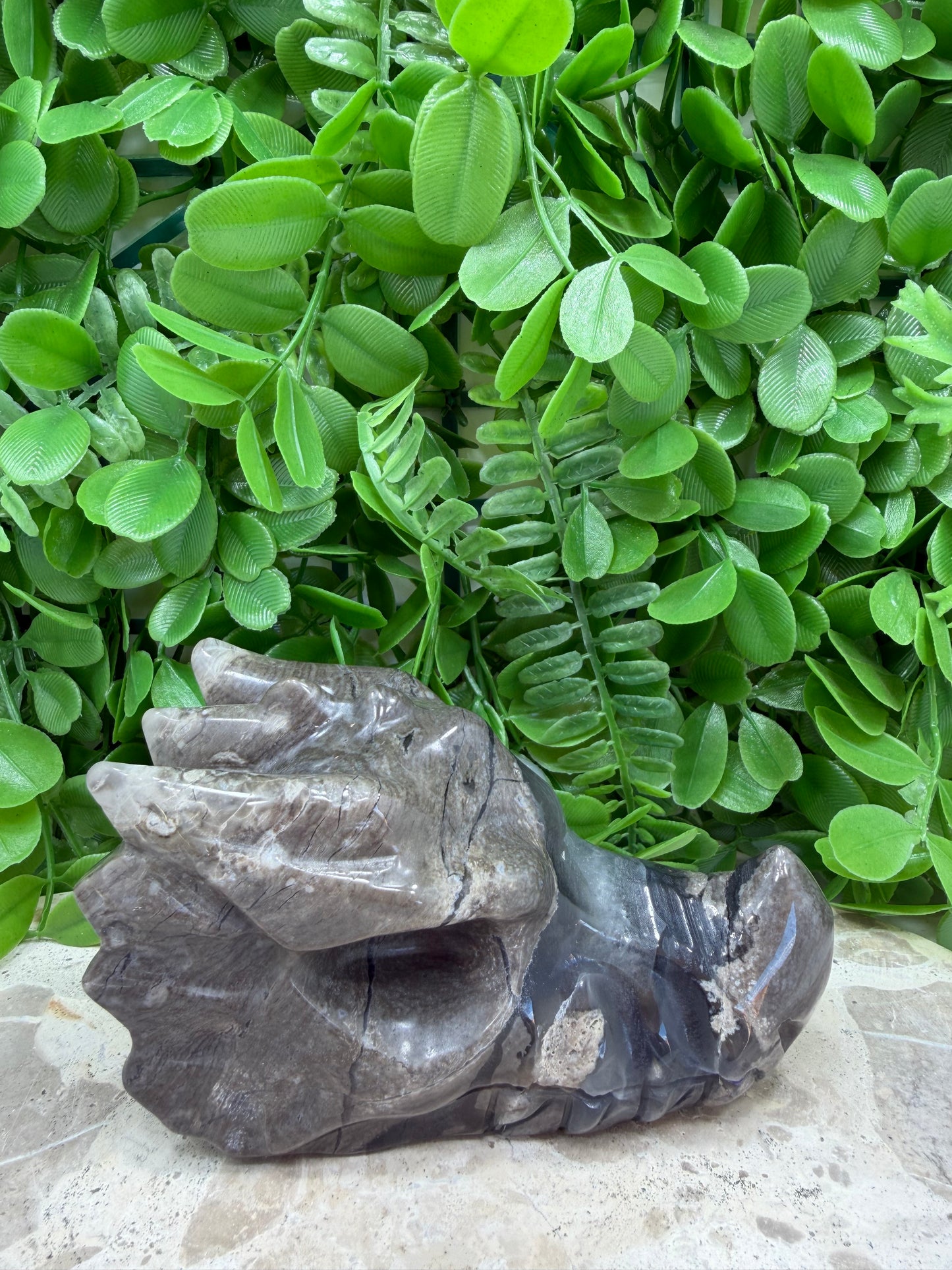 Volcanic Agate Dragon Skull 610g