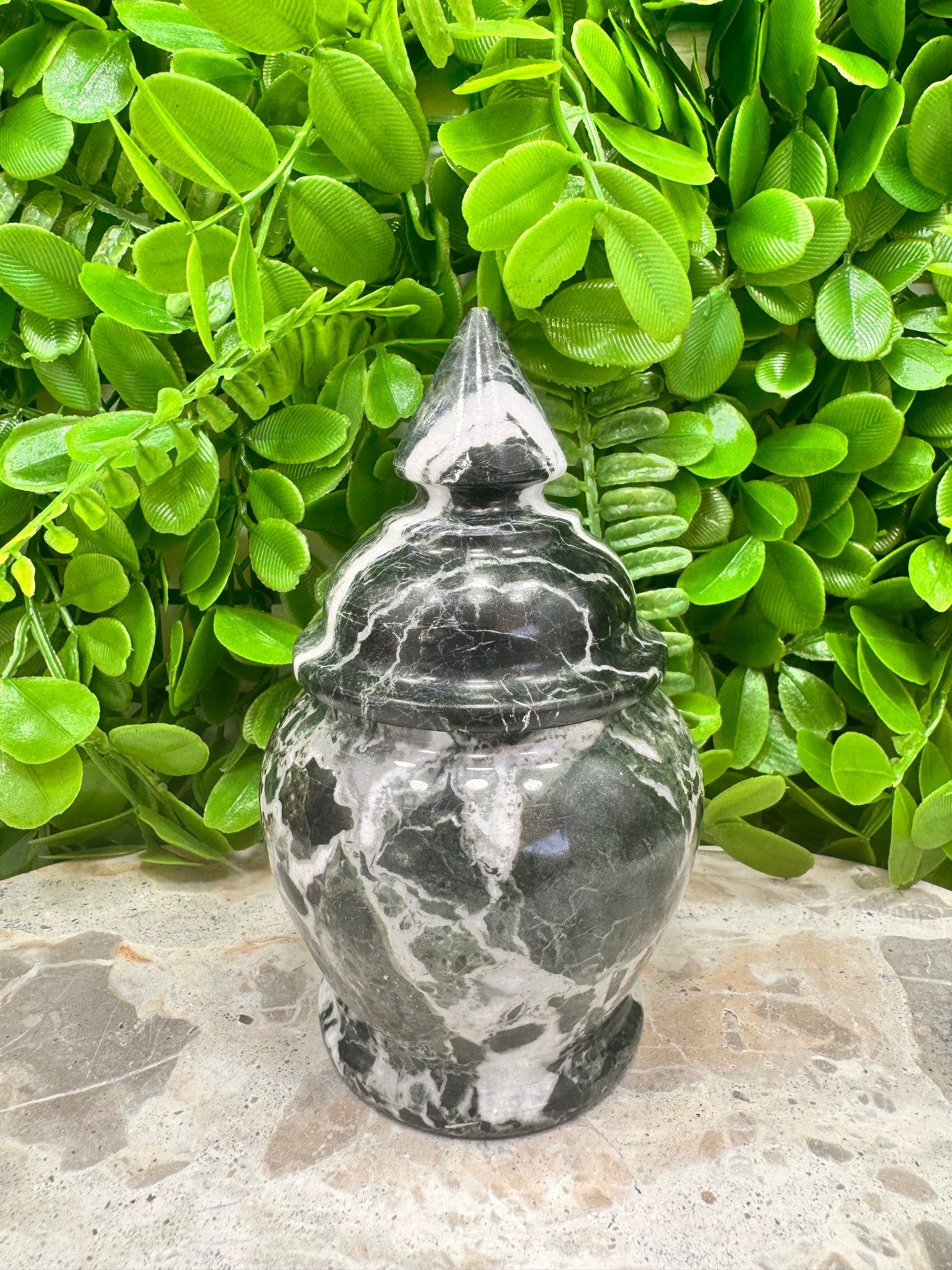 Black Zebra Serpentine Urn 446g
