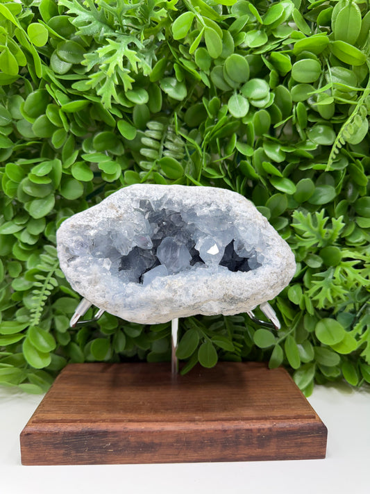 Blue Celestite Freeform | Tranquility • Communication • Peace