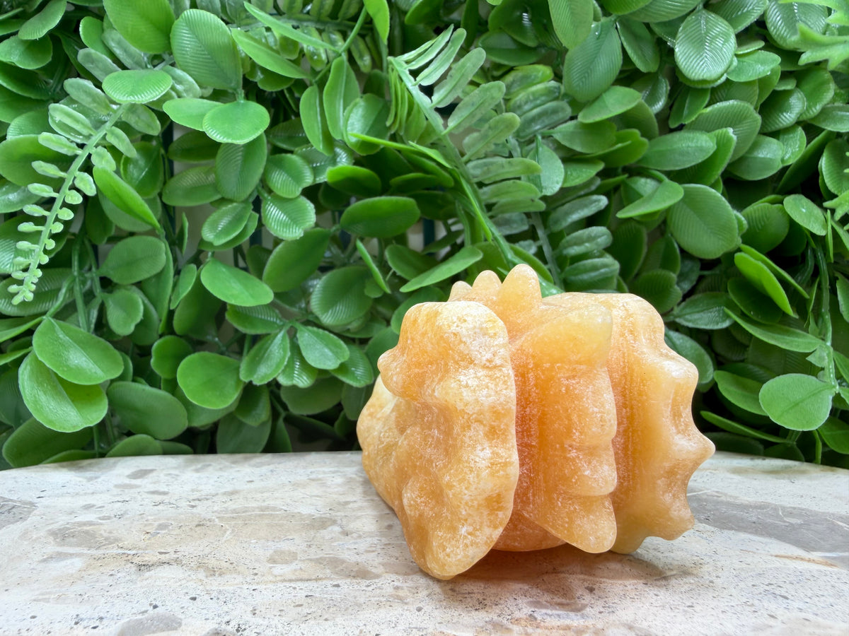Orange Calcite Dragon Skull 238g