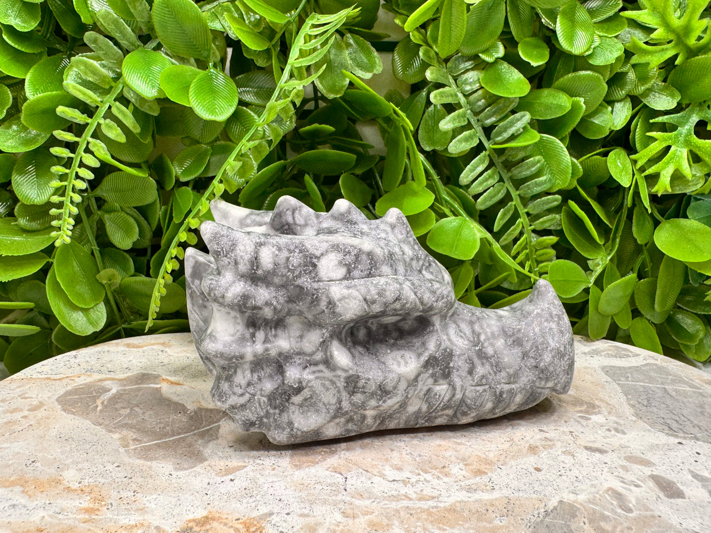 Fossil Dragon Skull 516g
