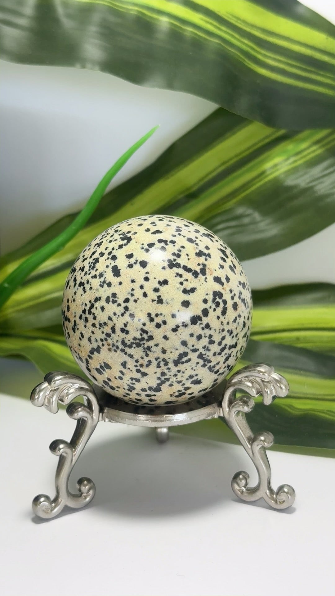 Dalmation Jasper Sphere 202g