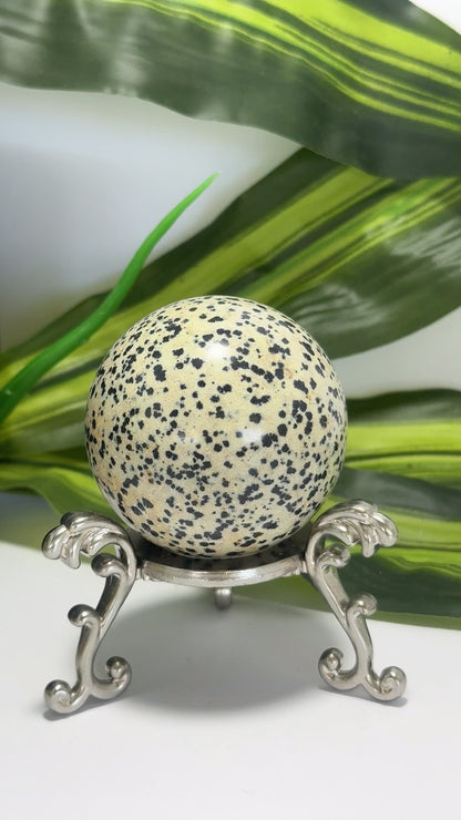 Dalmation Jasper Sphere 202g