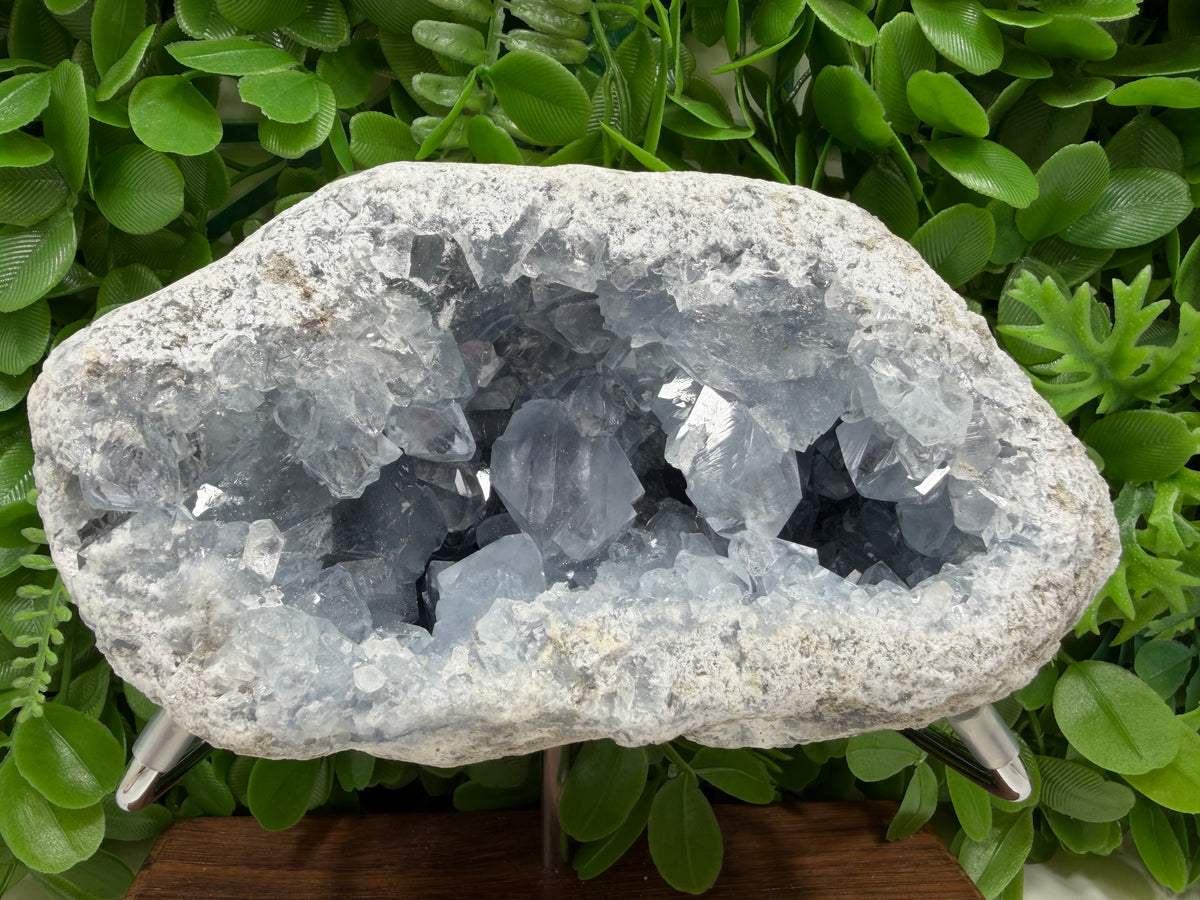 Blue Celestite Freeform | Tranquility • Communication • Peace