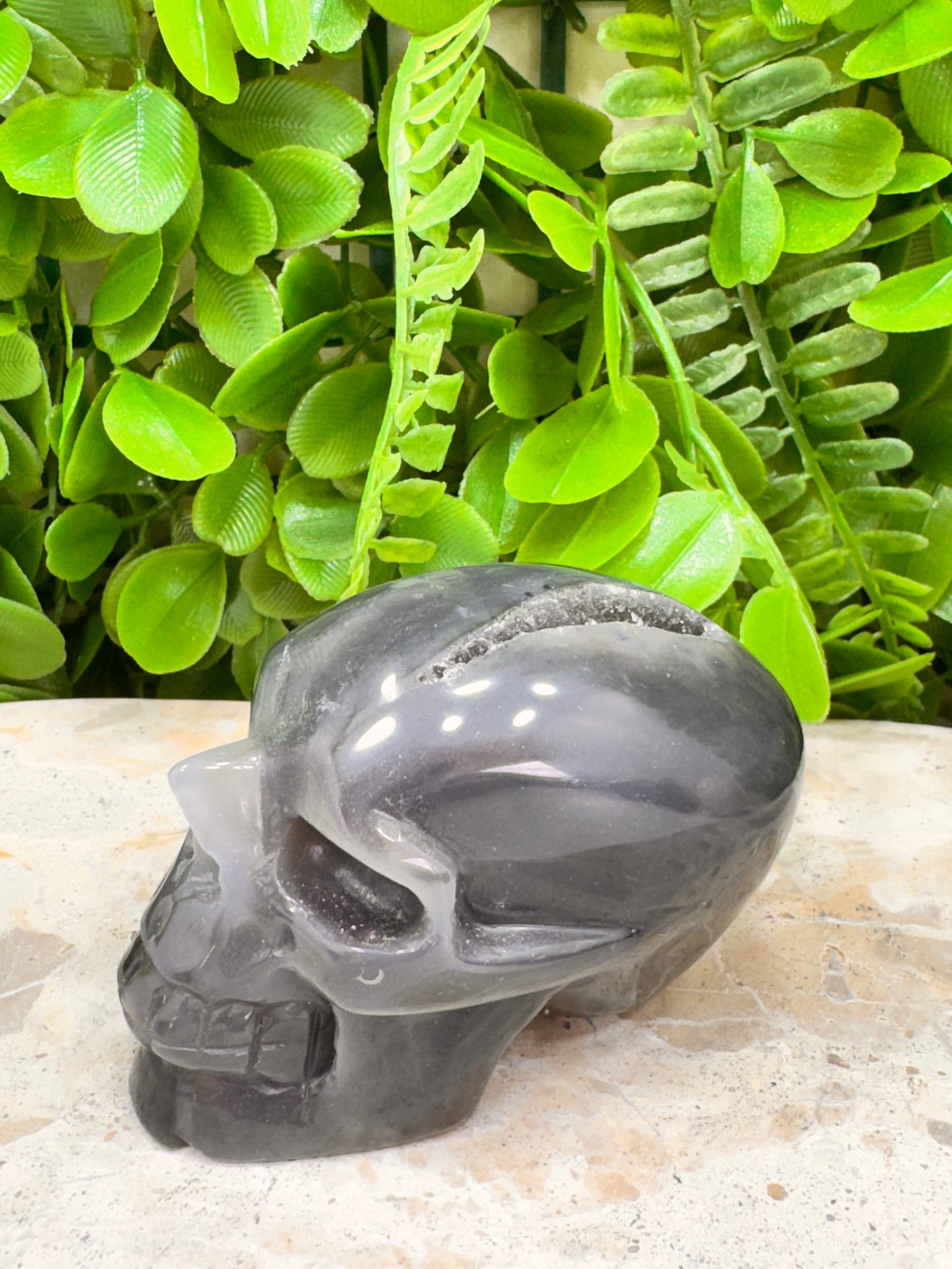 Agate Druzy Skull 280g