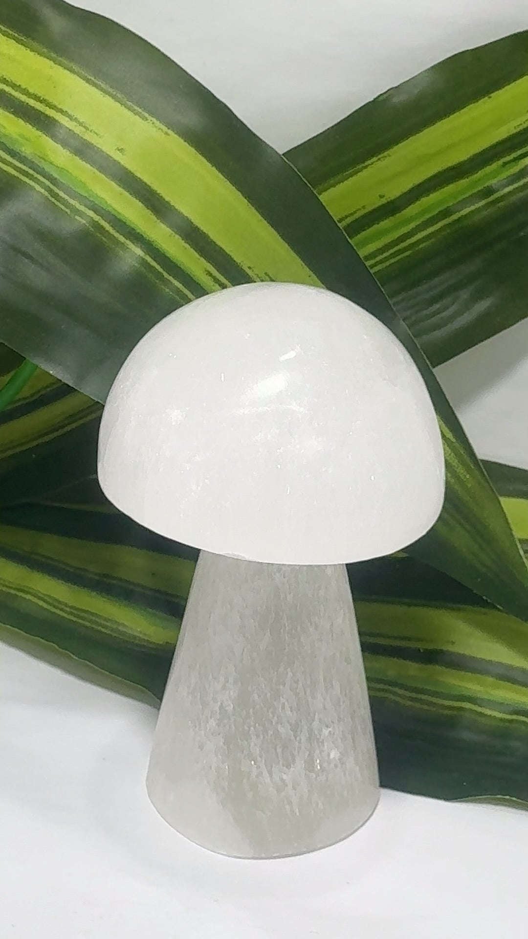 Selenite Mushrooms app 260g