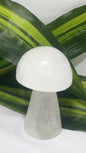 Selenite Mushrooms app 260g