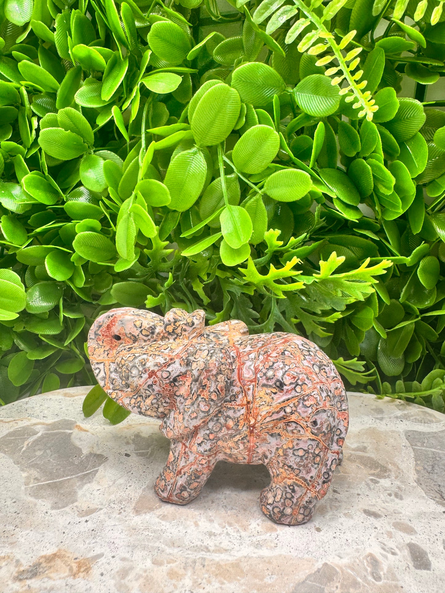 Red Leopard Skin Jasper Elephant 333g