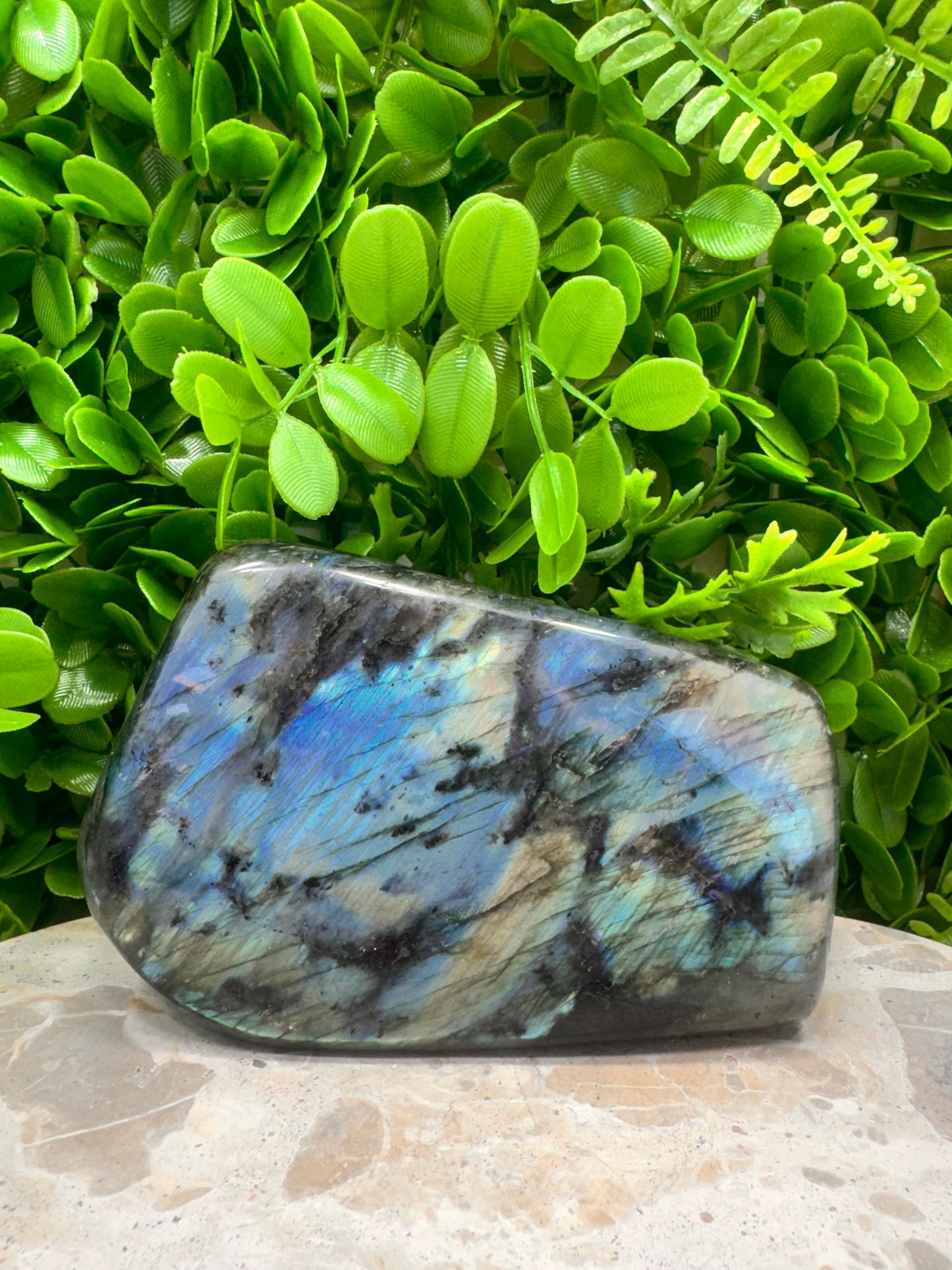 Labradorite Freeform 1446g
