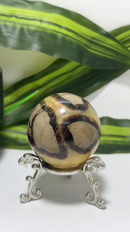 Septarian Sphere 302g
