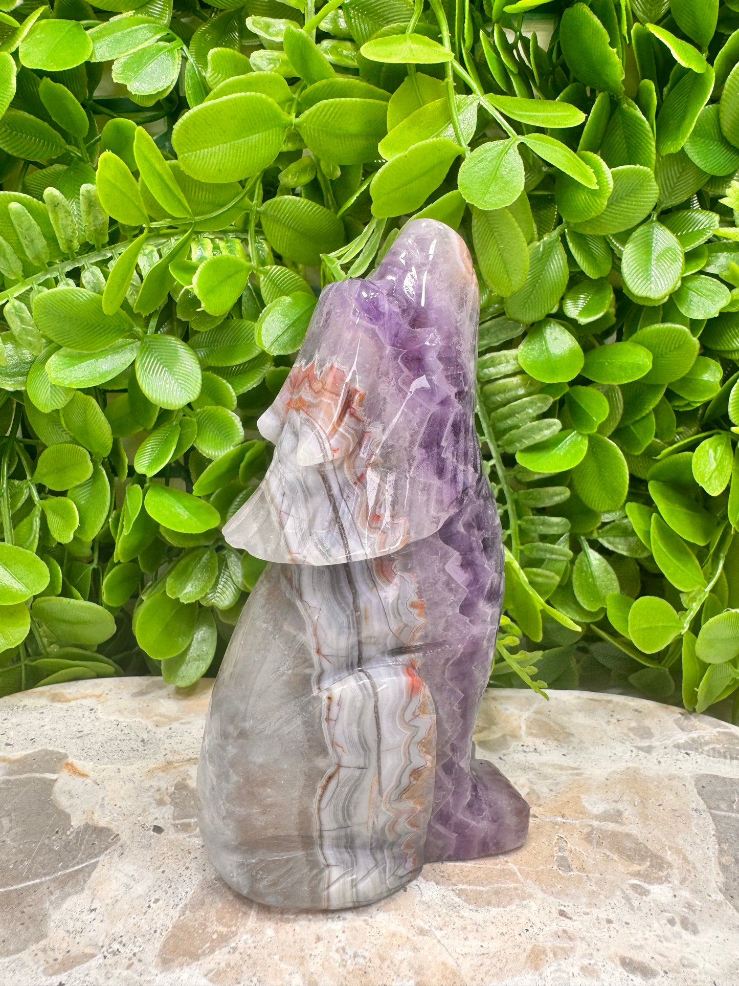 Amethyst Mexican Agate Wolf 498g