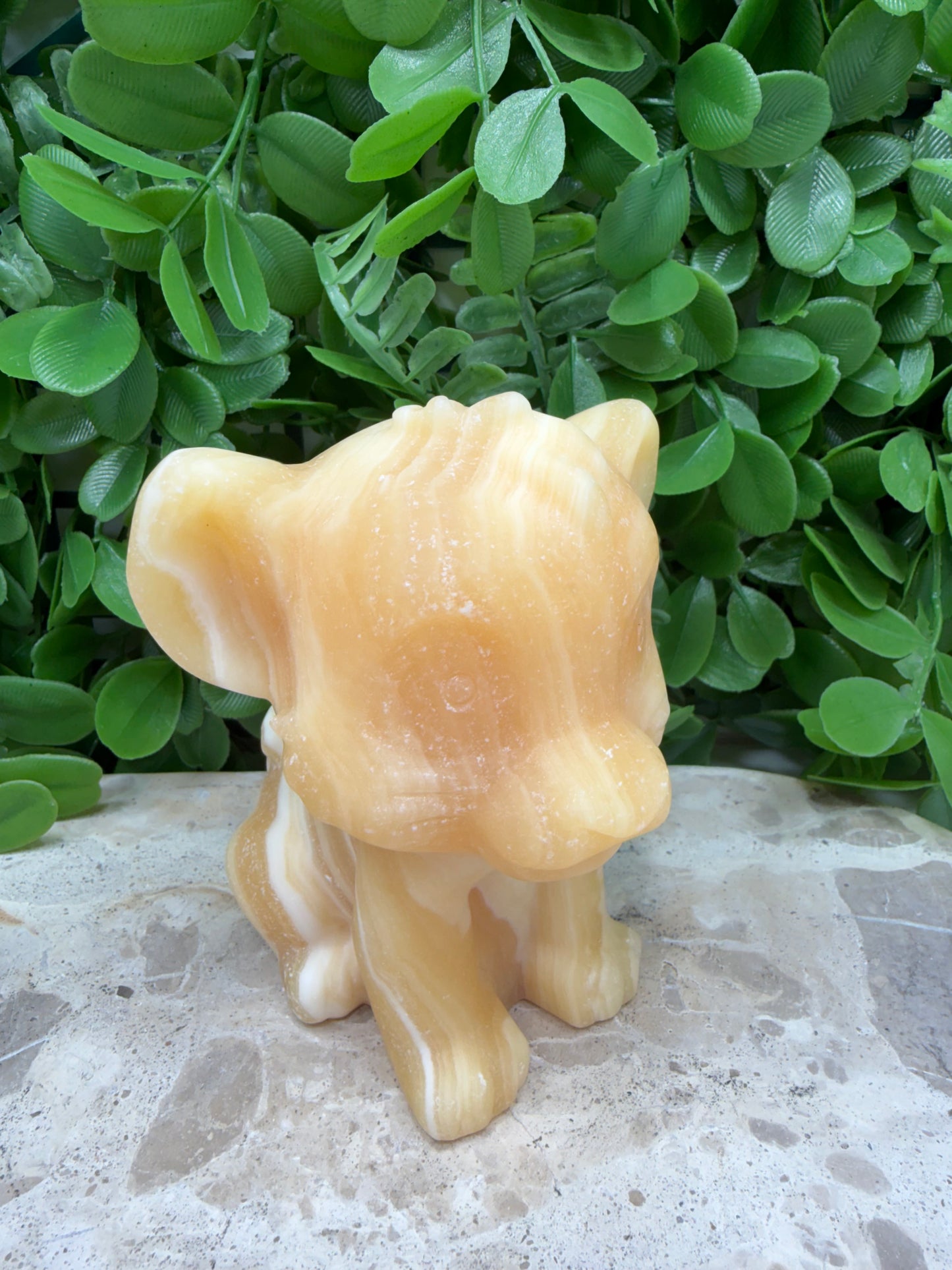 Orange Banded Calcite Lion Cub 574g