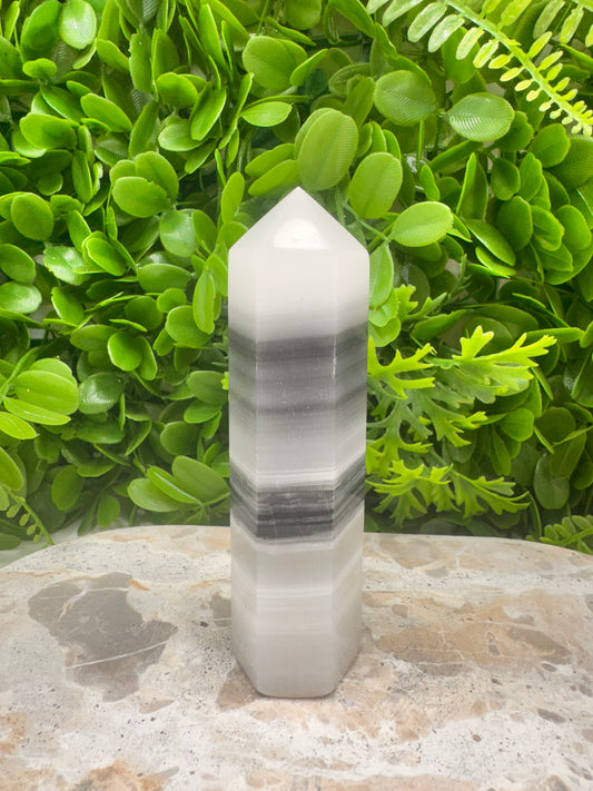 Black and White Tower 318g