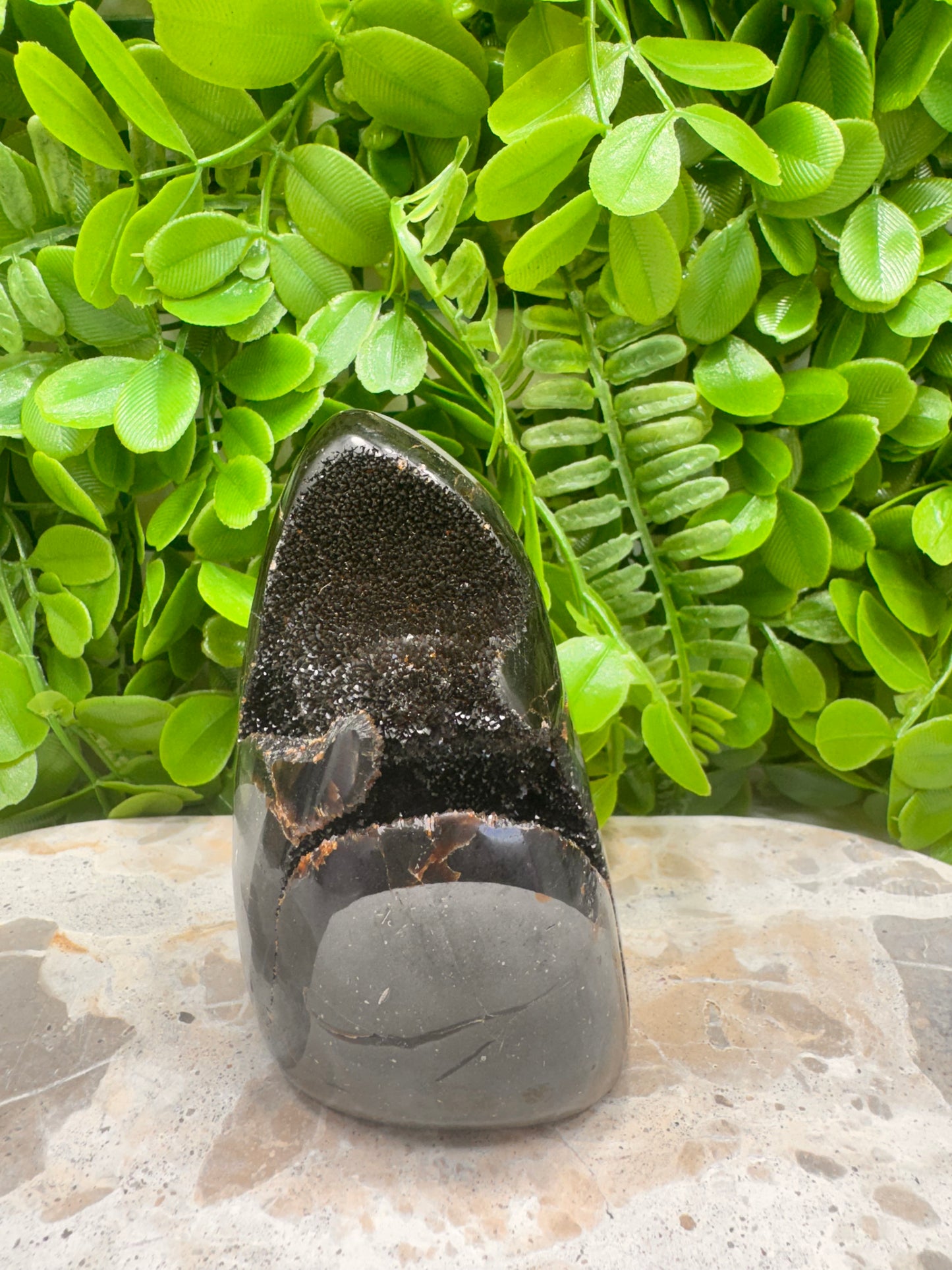 Septarian Freeform 570g