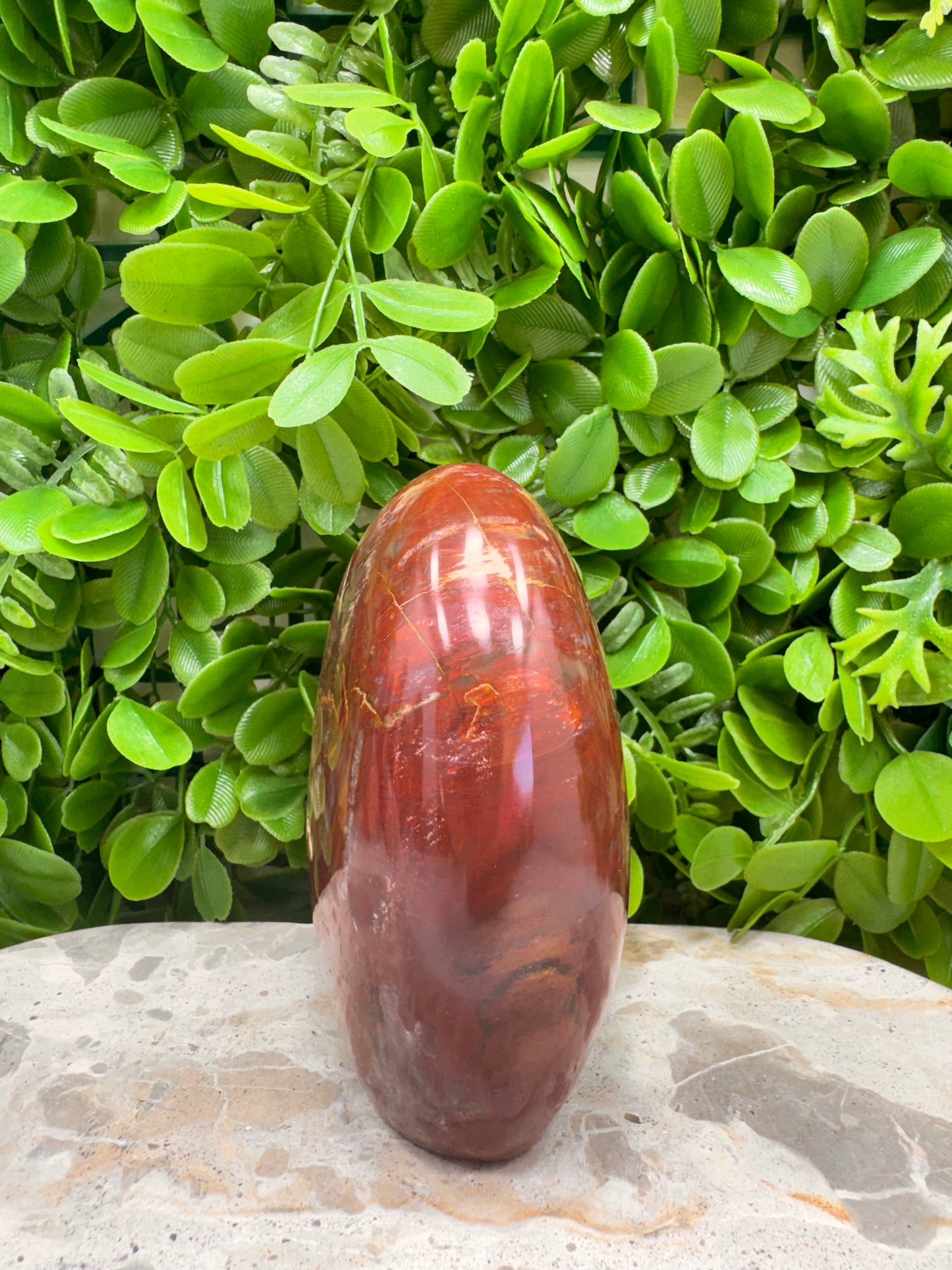 Petrified Wood Freeform 1028g