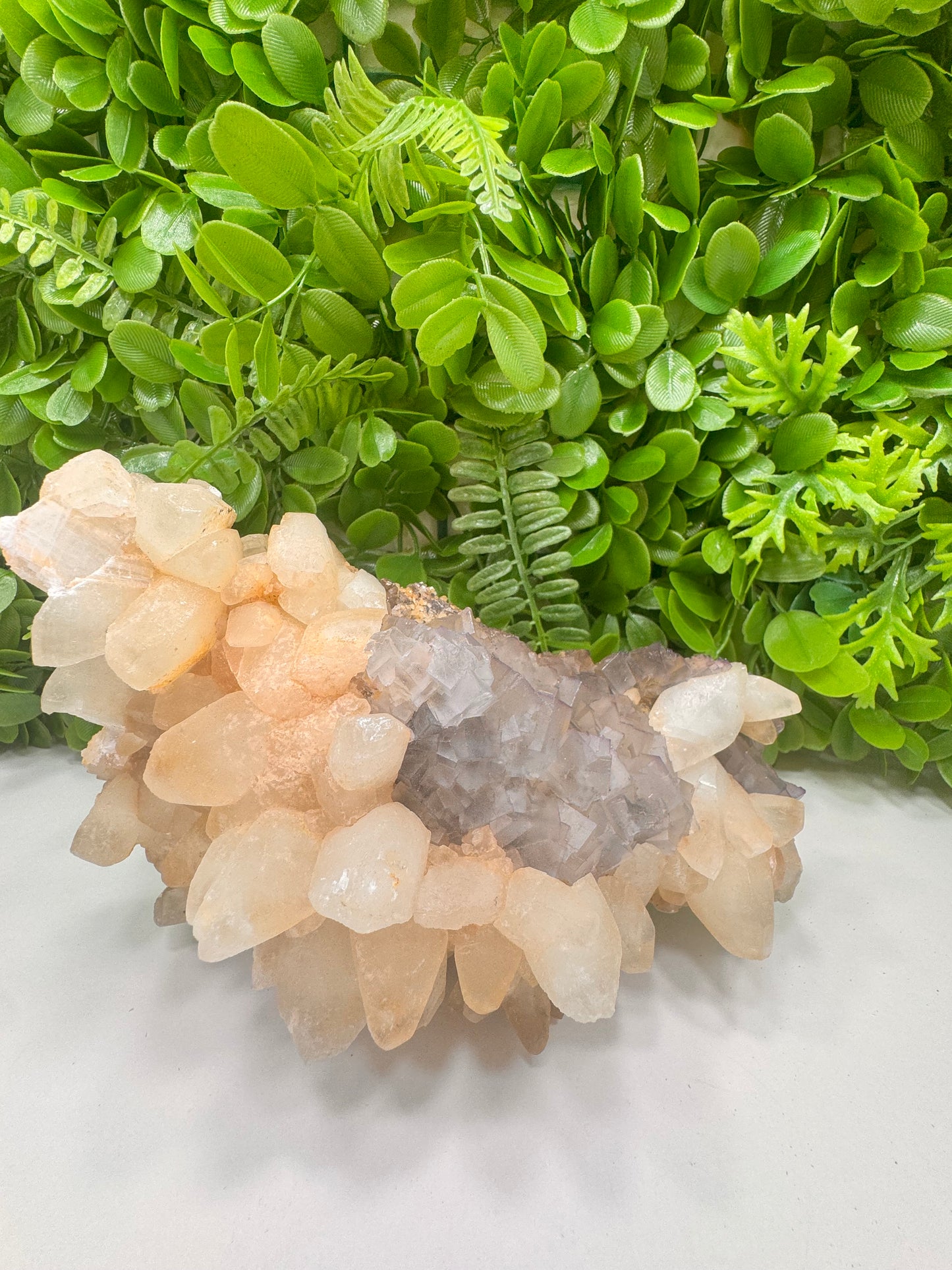 Apophyllite with Fluorite Raw 1630g