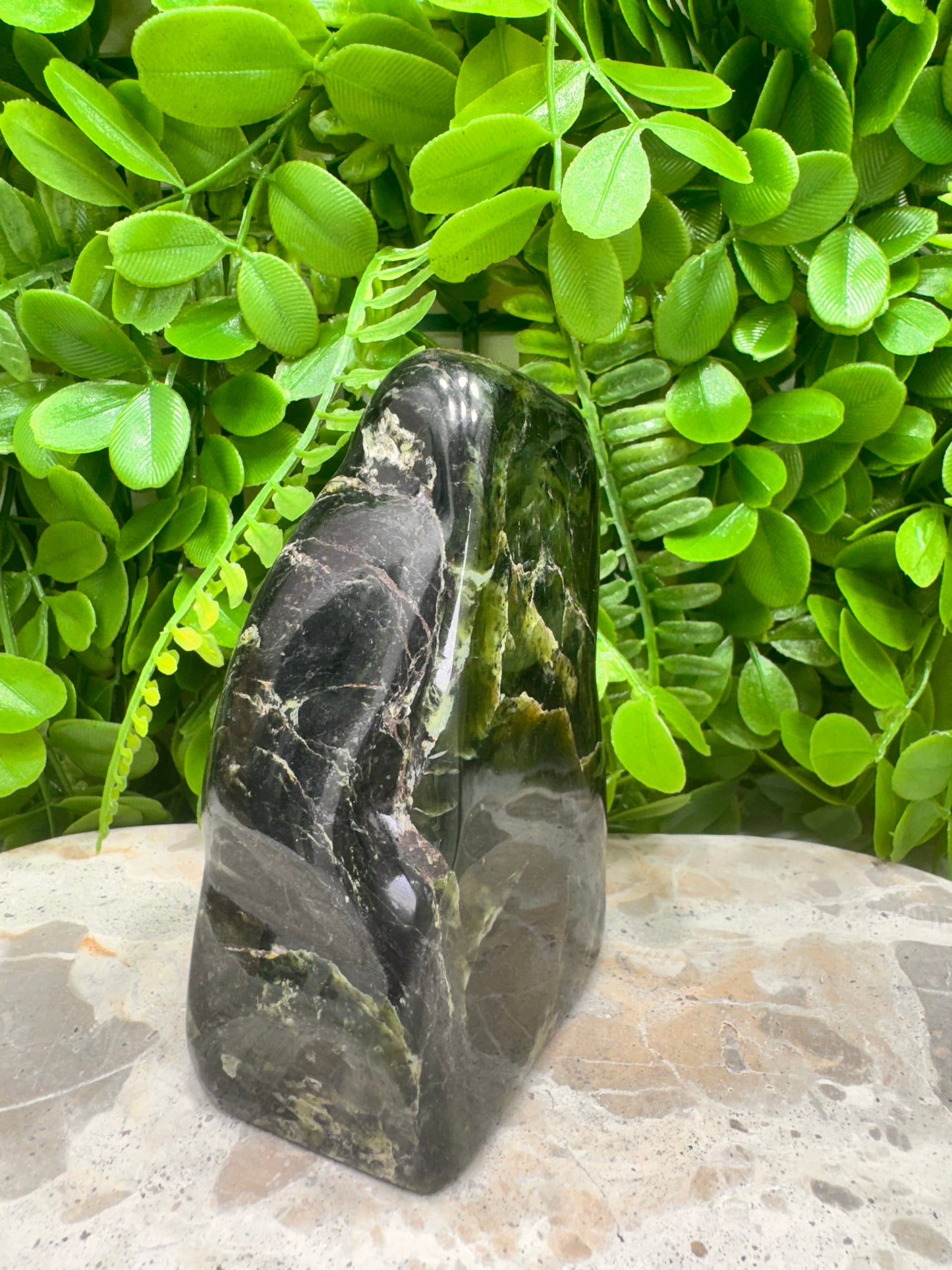 Nephrite Jade Freeform 644g