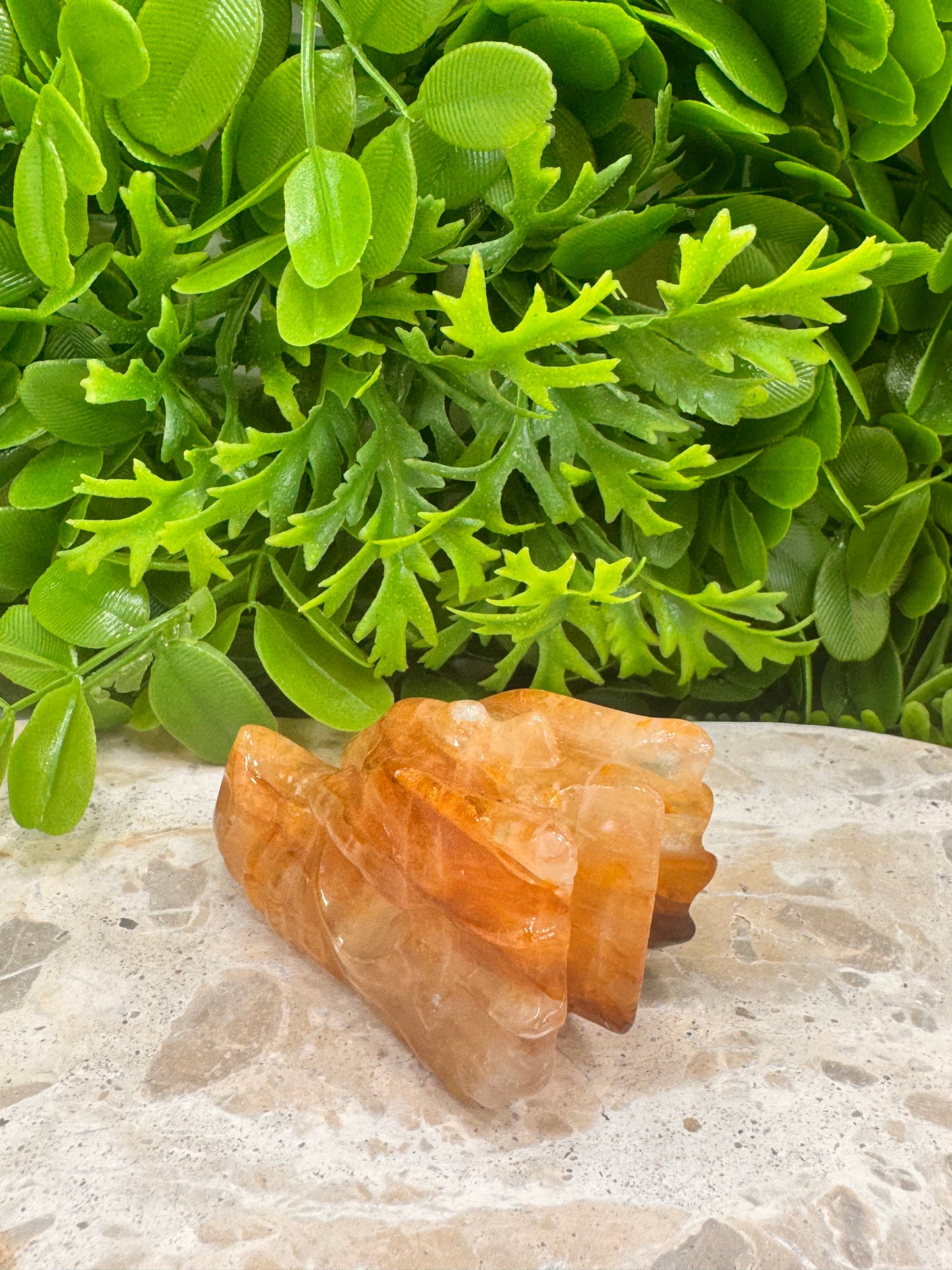 Golden Healer Dragon Skull 156g