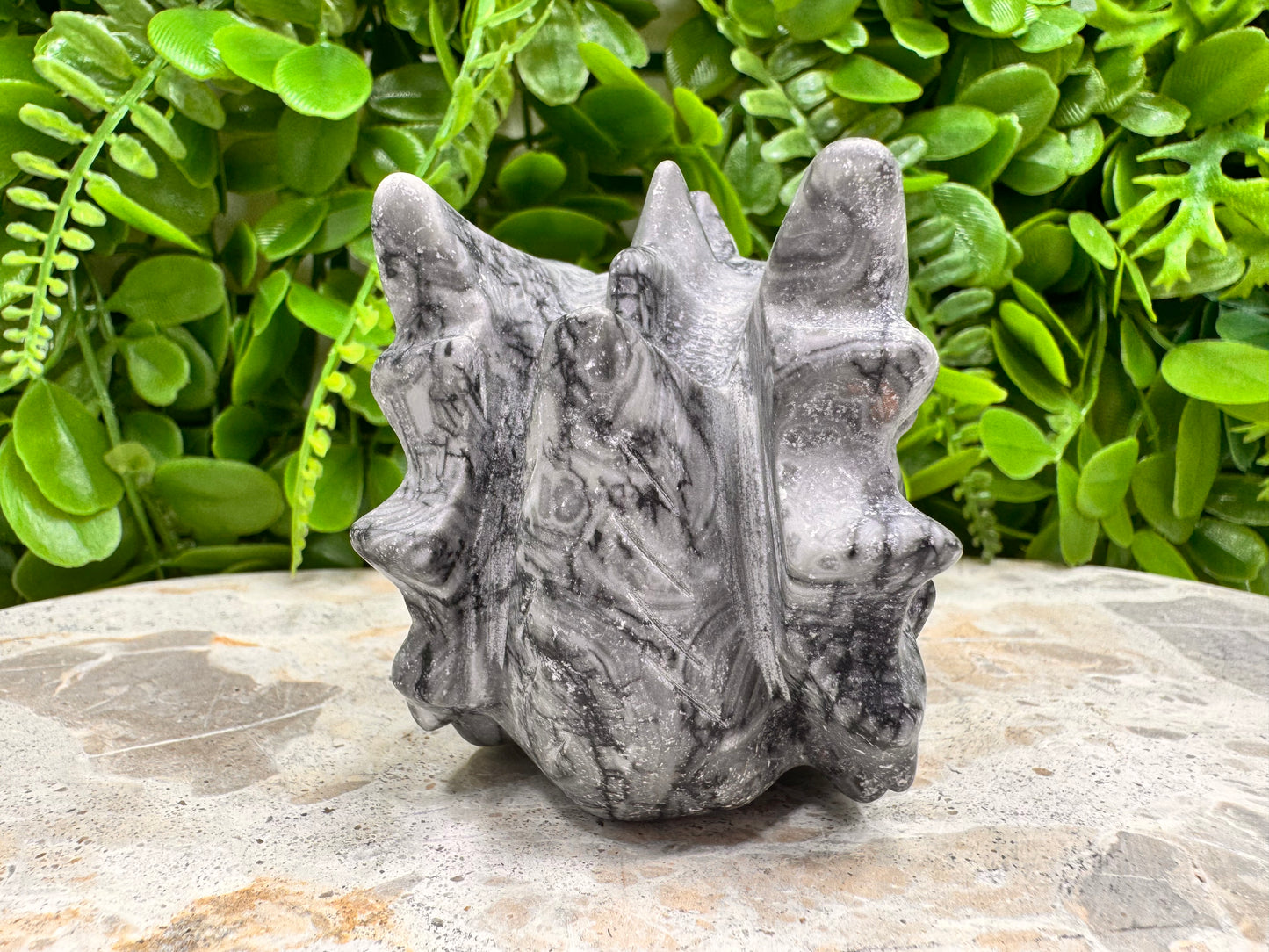 Fossil Dragons Skull 512g