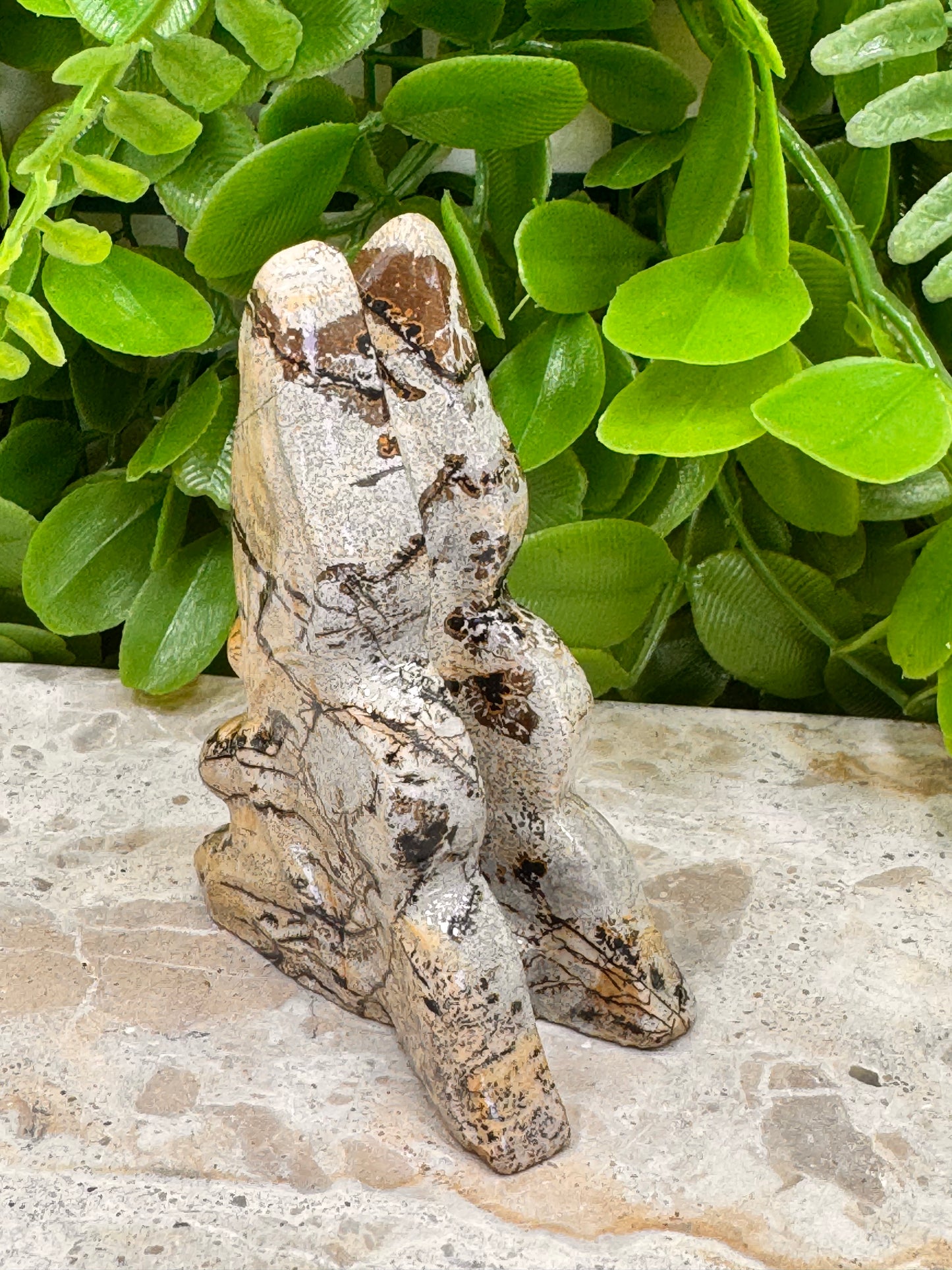Picture Jasper Fairy 102g