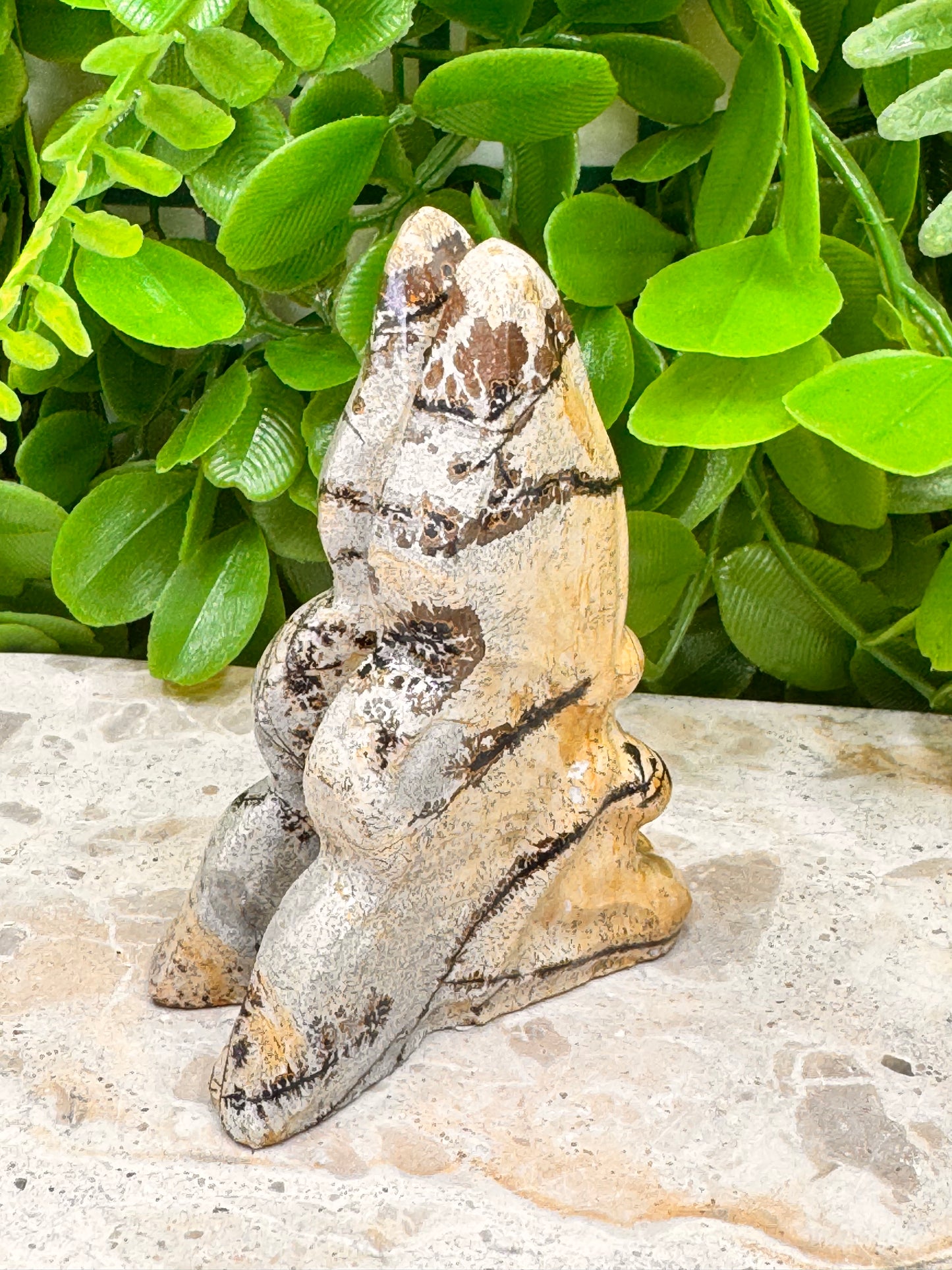 Picture Jasper Fairy 102g