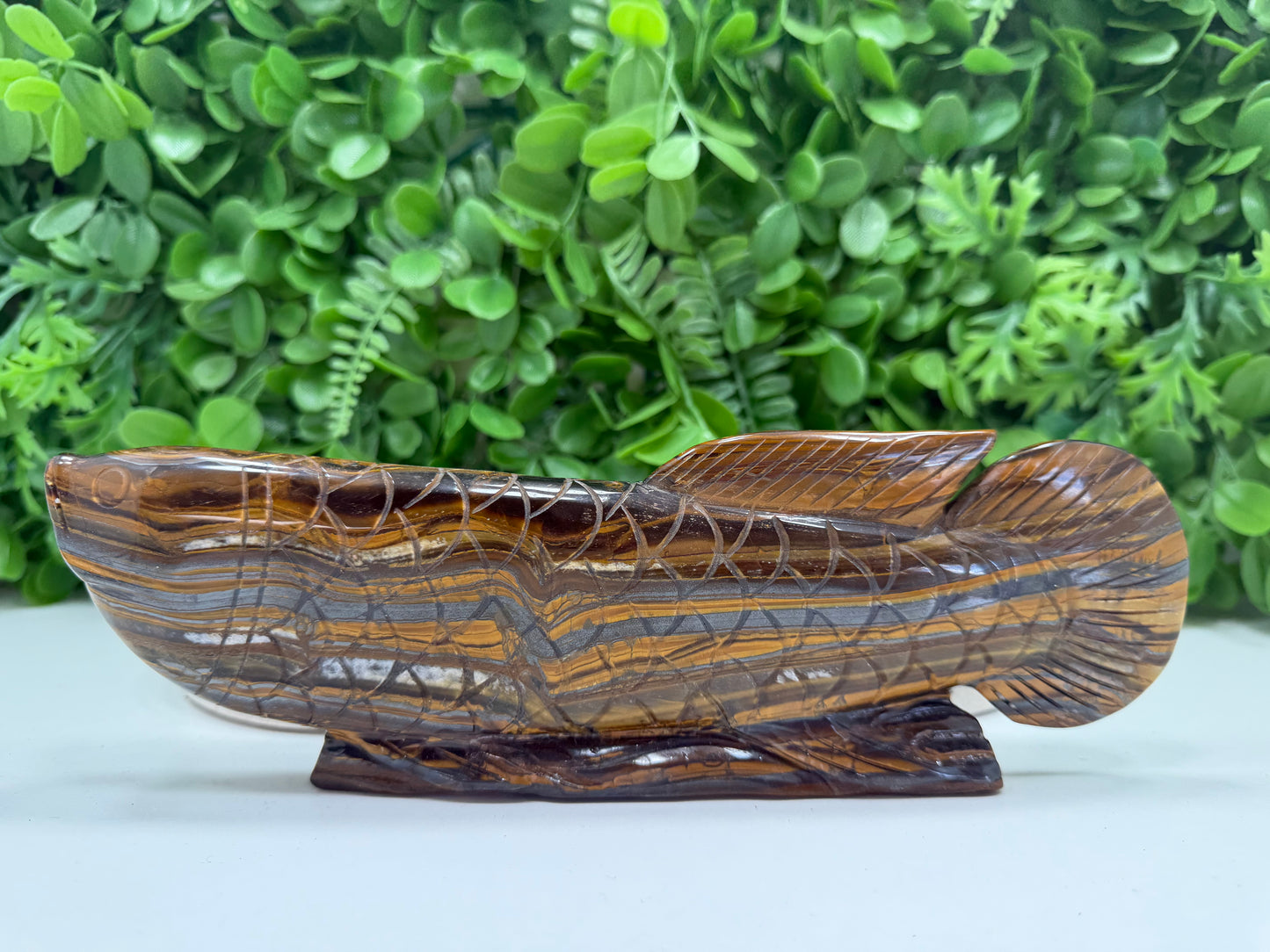 Tiger Eye/Tiger Ore Fish 756g