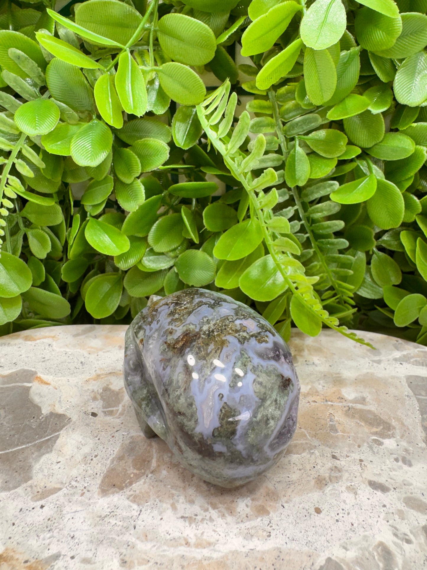Moss Agate Druzy Skull 268g