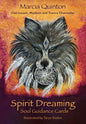 SPIRIT DREAMING SOUL GUIDANCE CARDS