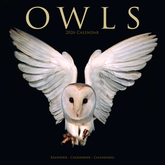 2026 OWLS WALL CALENDAR
