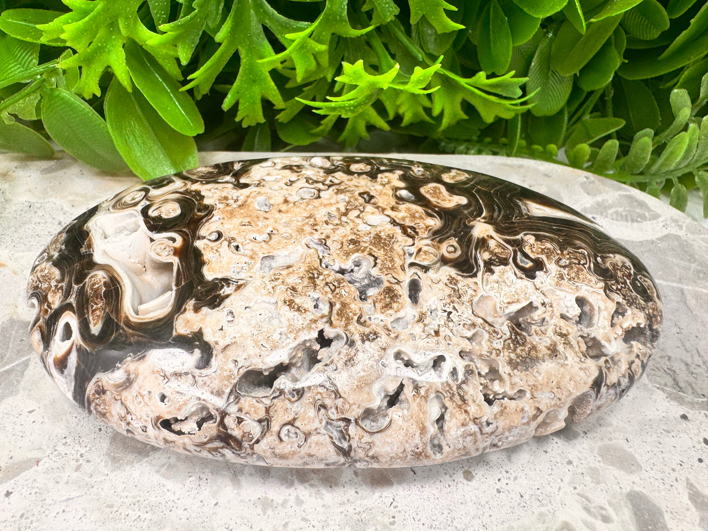 Chocolate Calcite Palm Stone  346g
