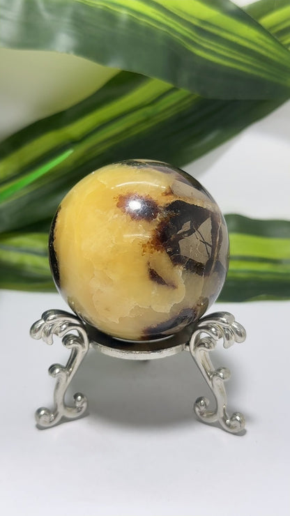Septarian Sphere 302g