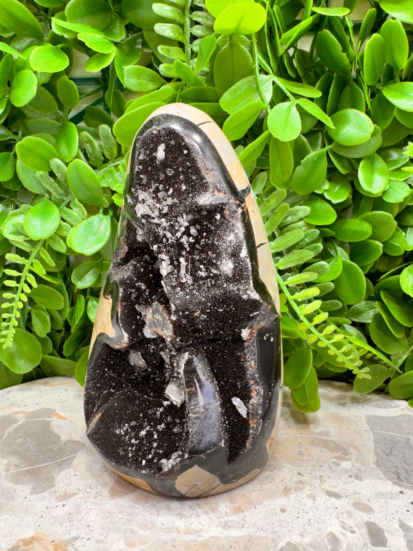 Septarian Freeform 1108g