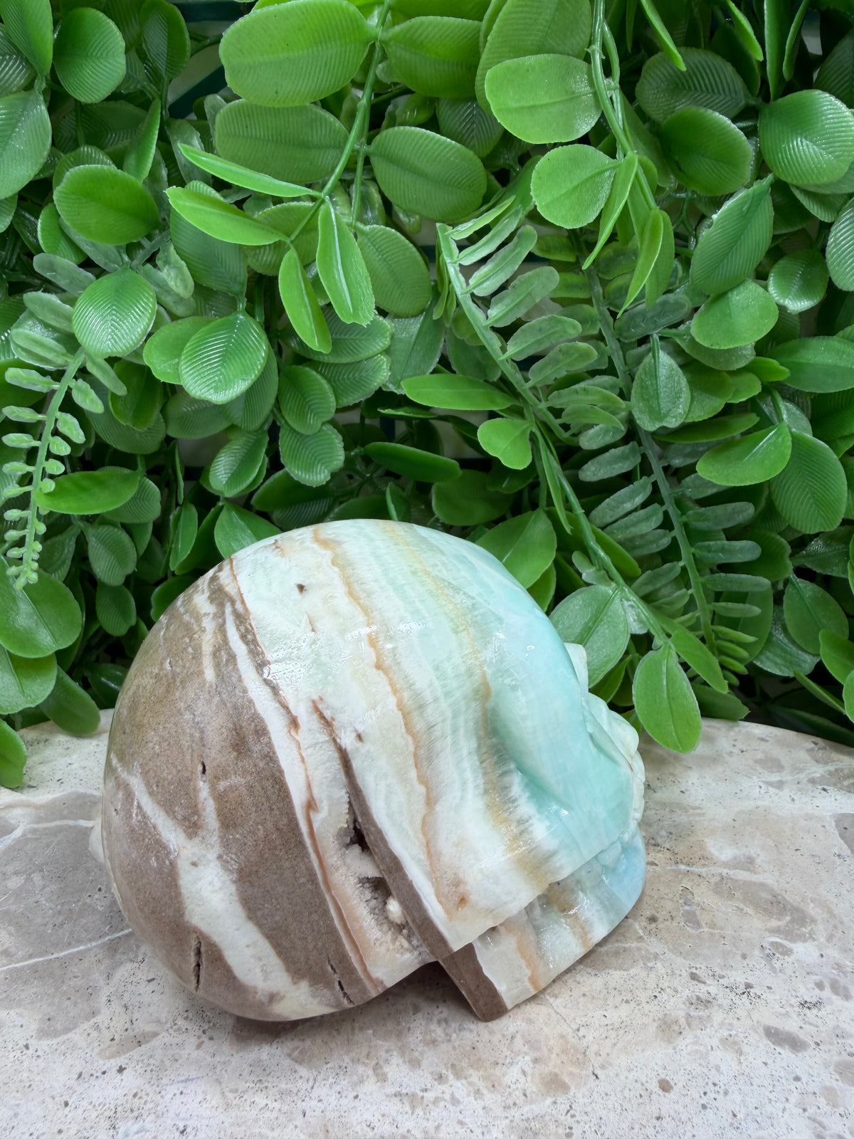 Caribbean Calcite Skull | Calm • Intuition • Emotional Healing