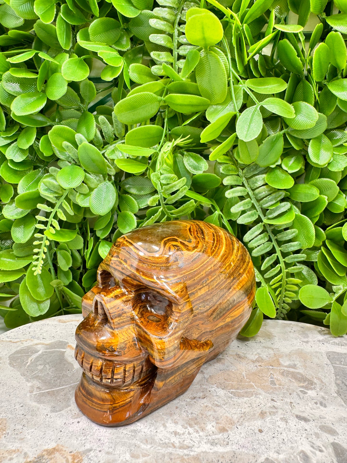 Tiger Ore Skull 1100g