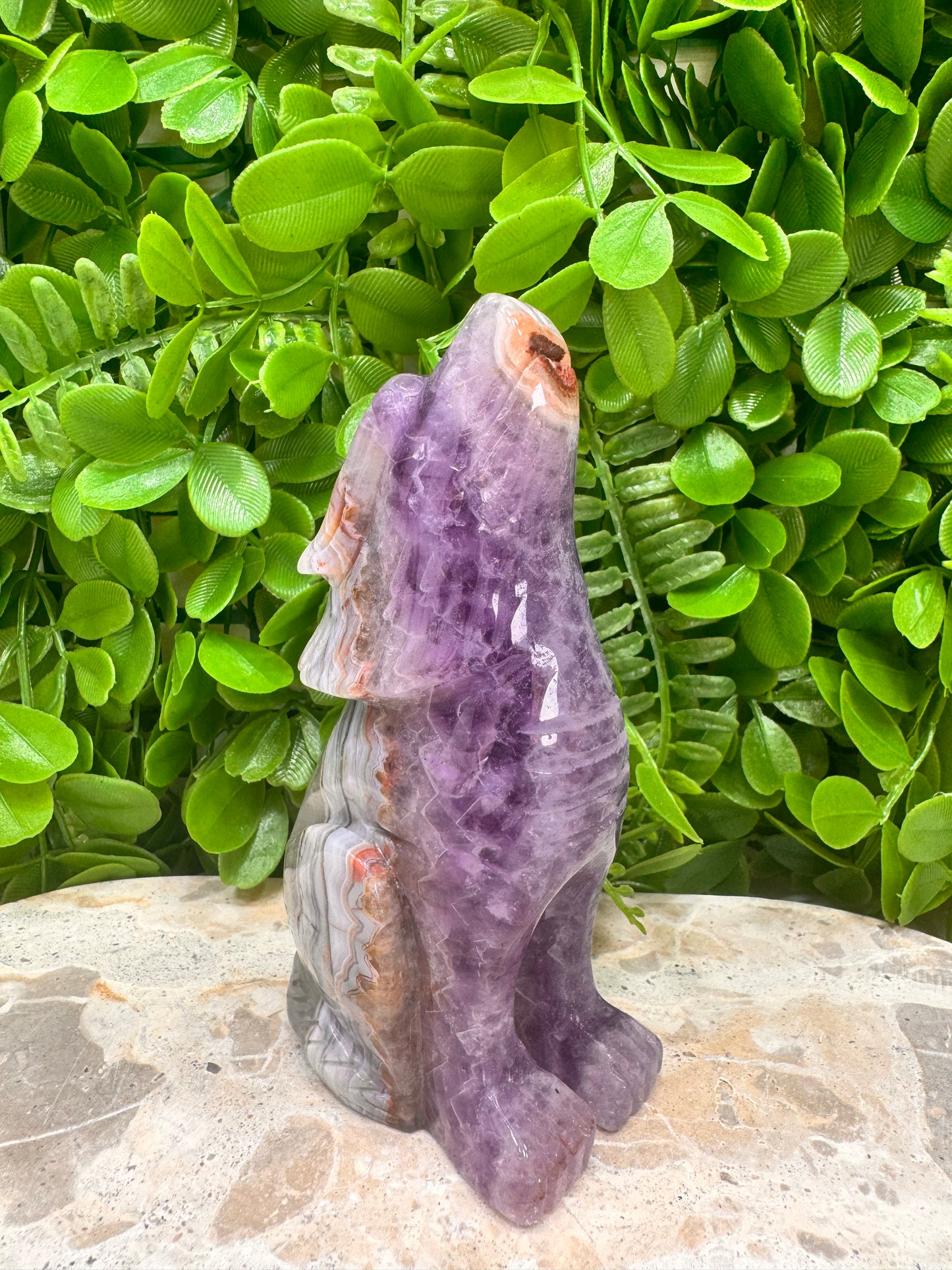 Amethyst Mexican Agate Wolf 498g