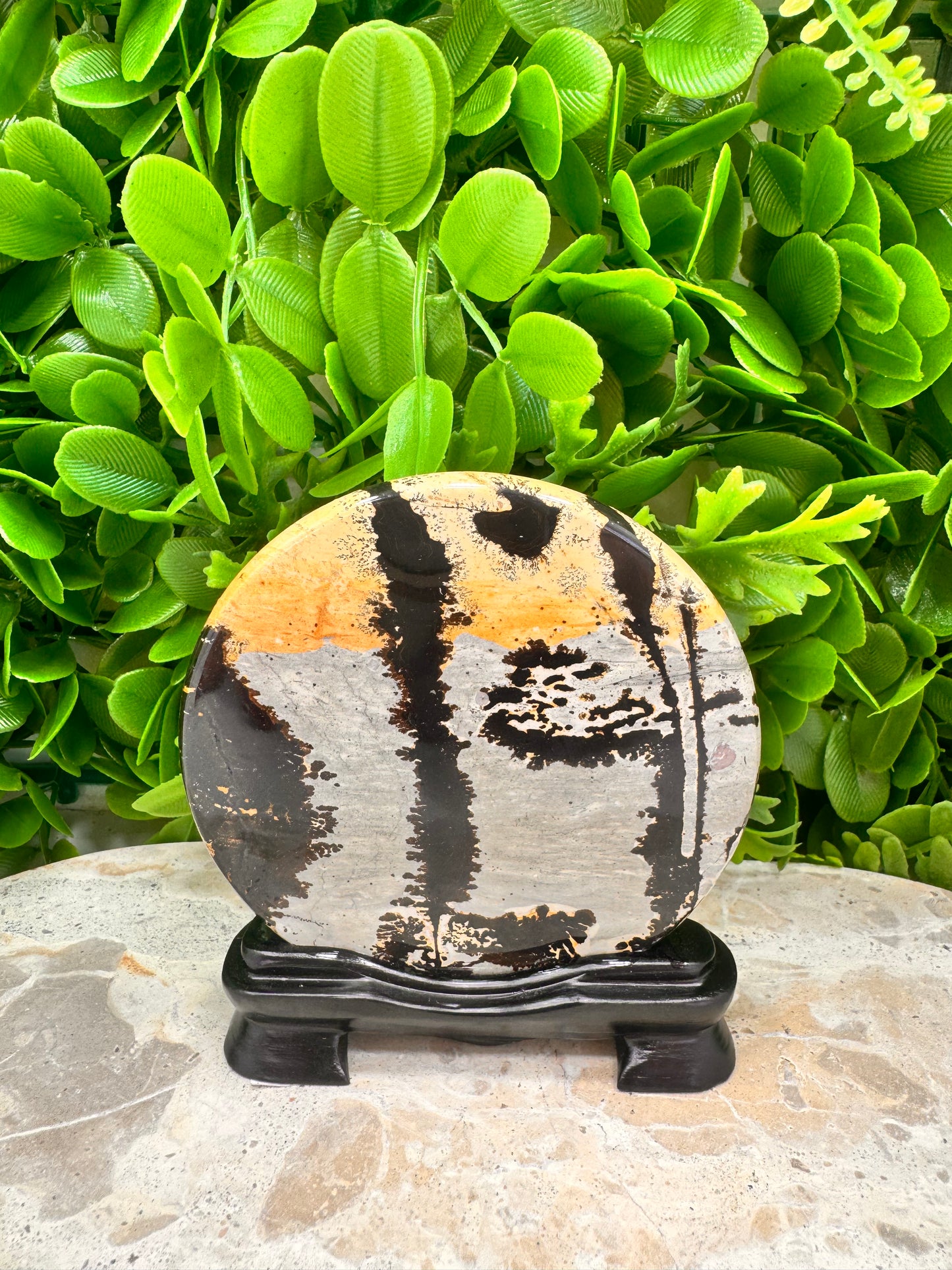 Picture Jasper on Stand 136g