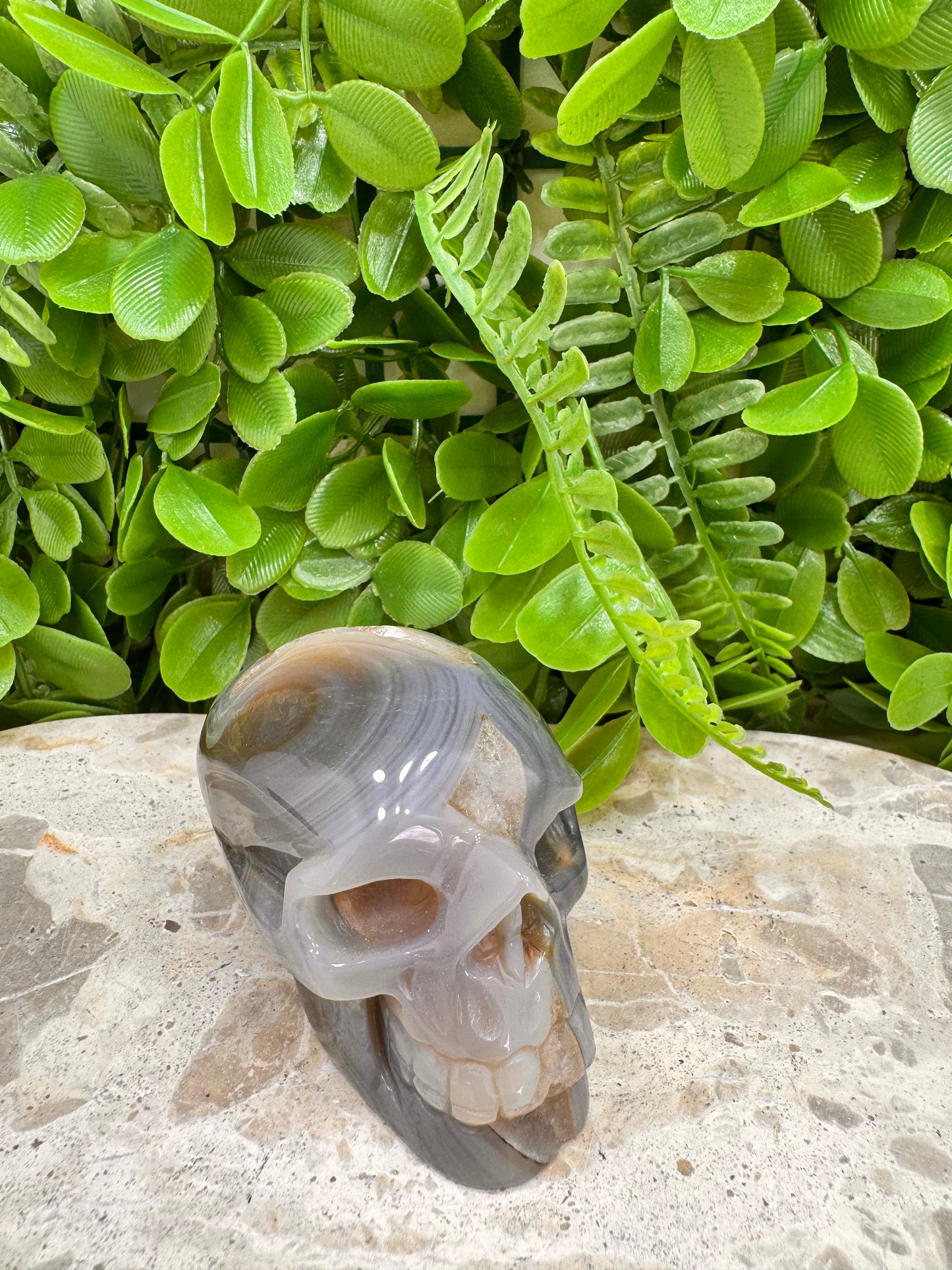 Agate Druzy Skull 262g