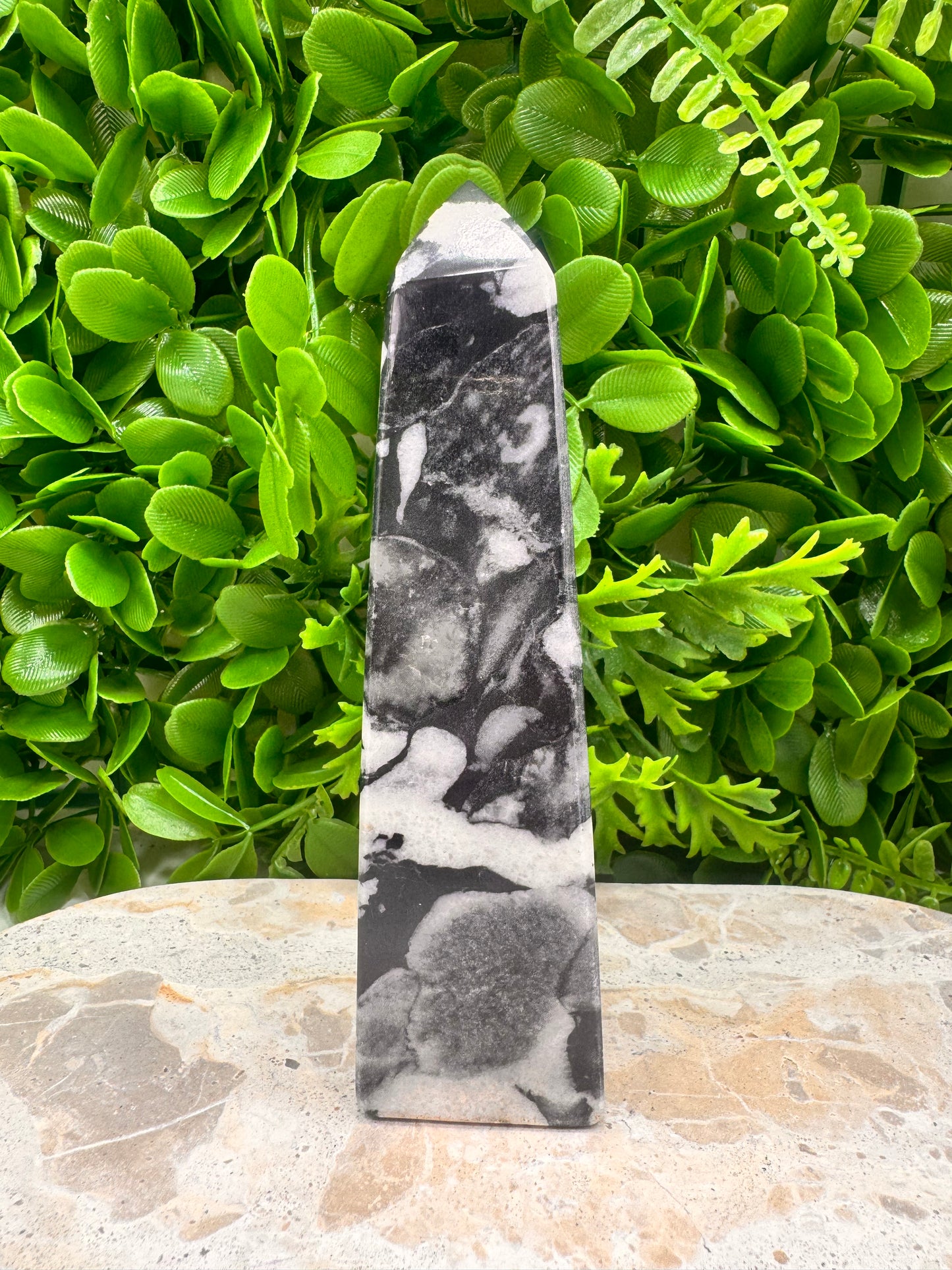 Shell Jasper Tower 420g